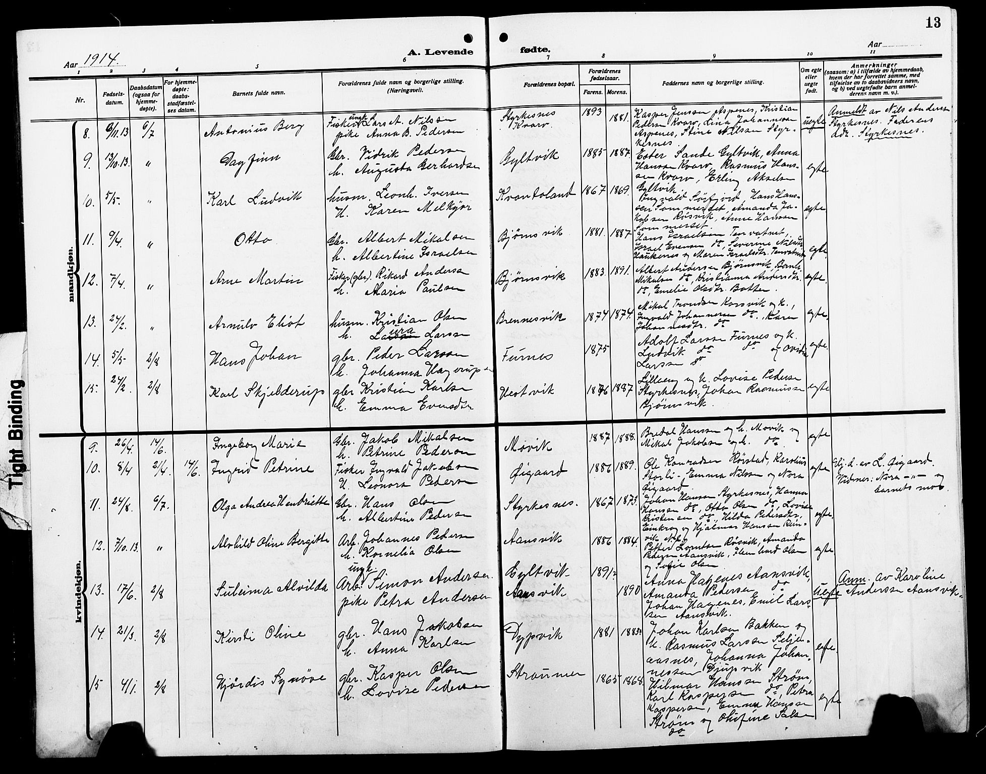 Ministerialprotokoller, klokkerbøker og fødselsregistre - Nordland, AV/SAT-A-1459/854/L0787: Klokkerbok nr. 854C03, 1913-1926, s. 13