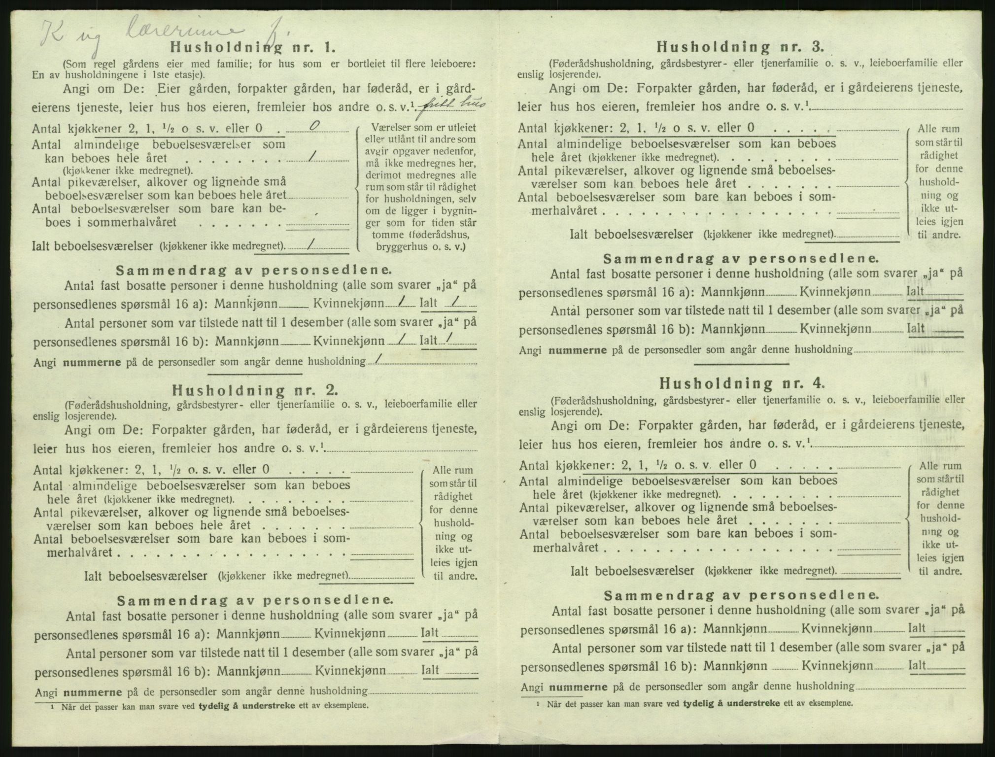 SAH, Folketelling 1920 for 0540 Sør-Aurdal herred, 1920, s. 1520