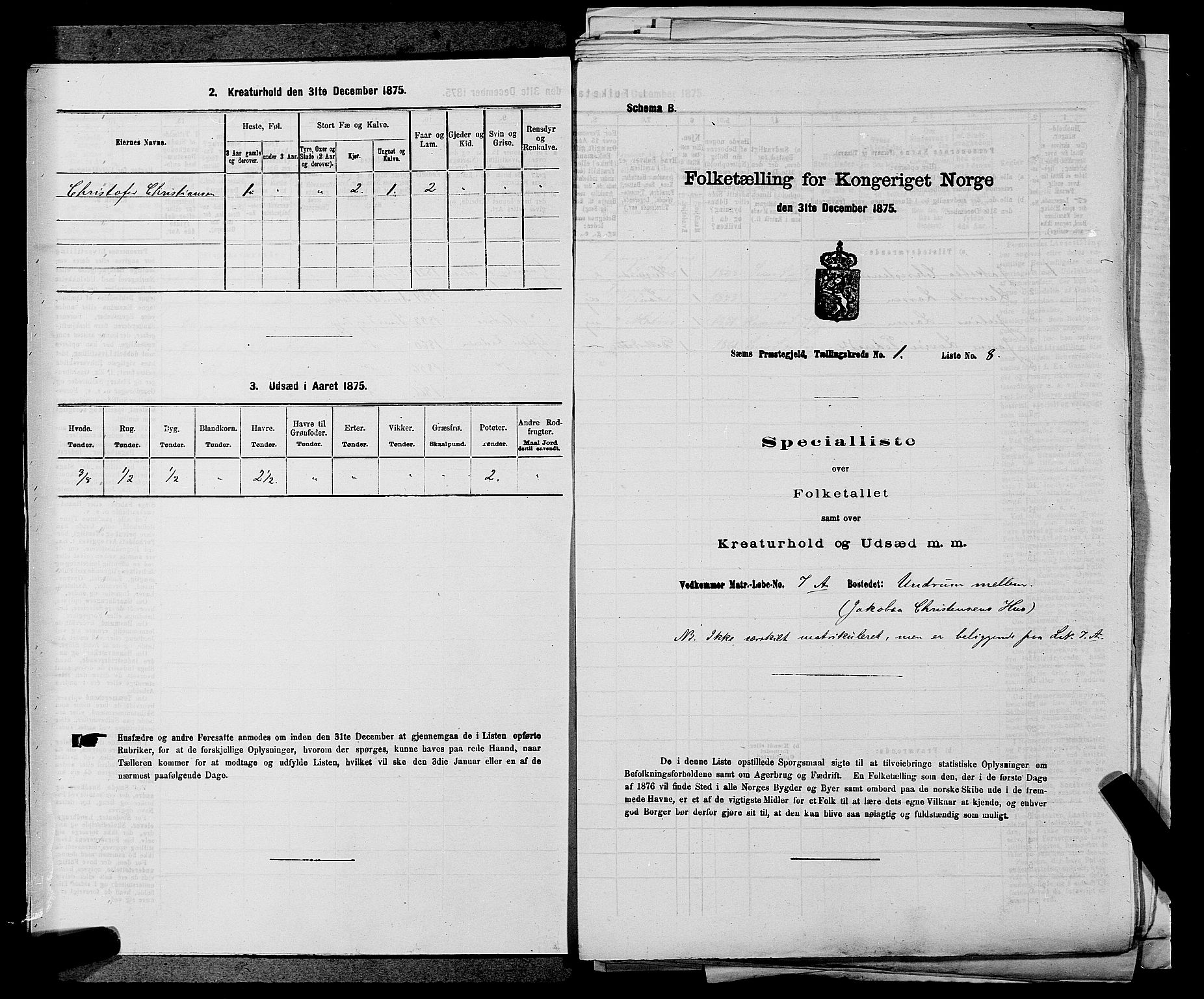 SAKO, Folketelling 1875 for 0721P Sem prestegjeld, 1875, s. 89