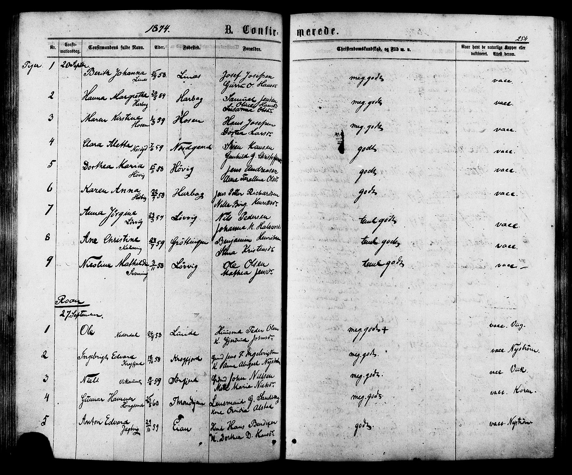 Ministerialprotokoller, klokkerbøker og fødselsregistre - Sør-Trøndelag, AV/SAT-A-1456/657/L0706: Ministerialbok nr. 657A07, 1867-1878, s. 254