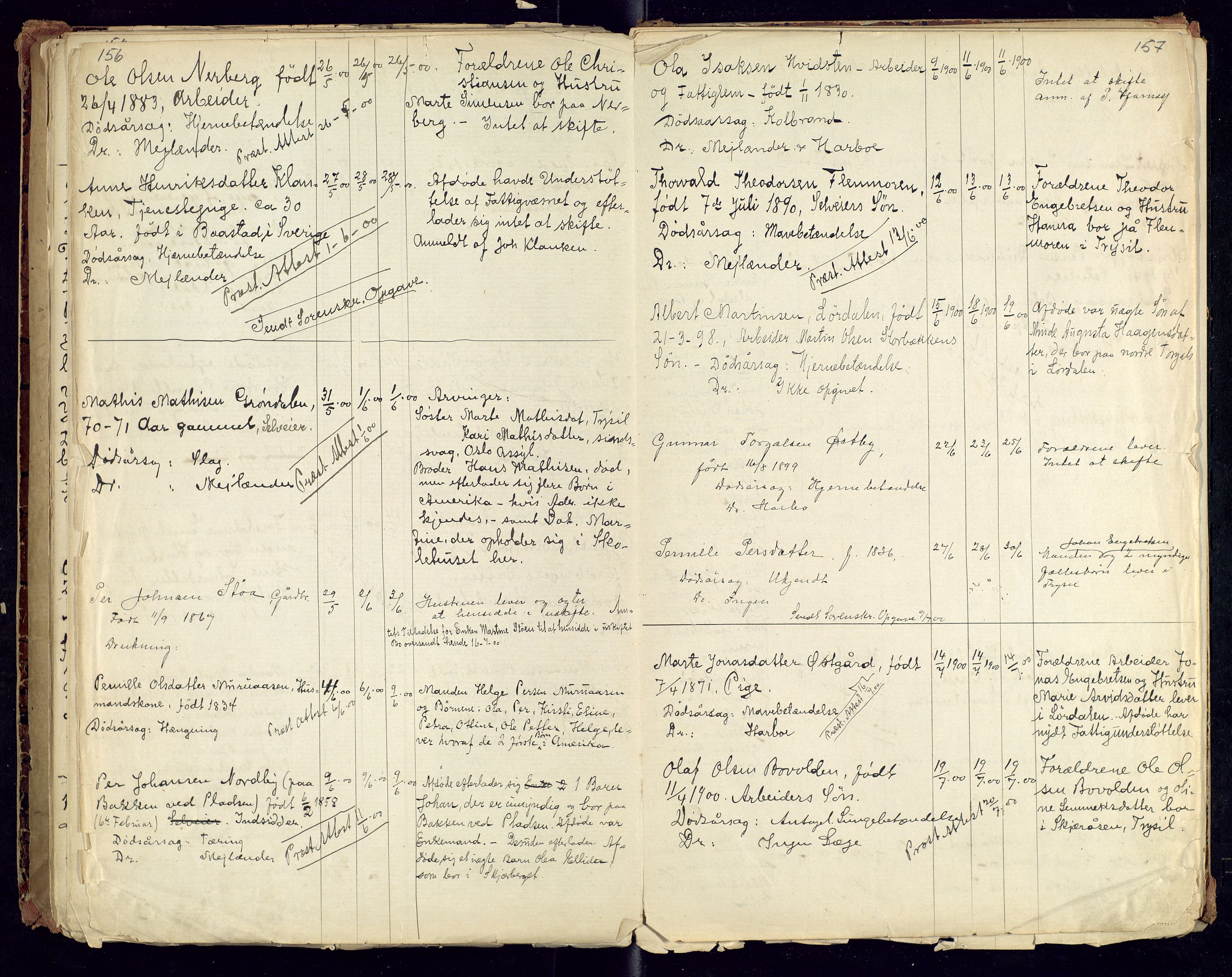 Trysil lensmannskontor, SAH/LHT-026/H/Ha/L0001: Dødsfallsprotokoll, 1875-1901, s. 156-157