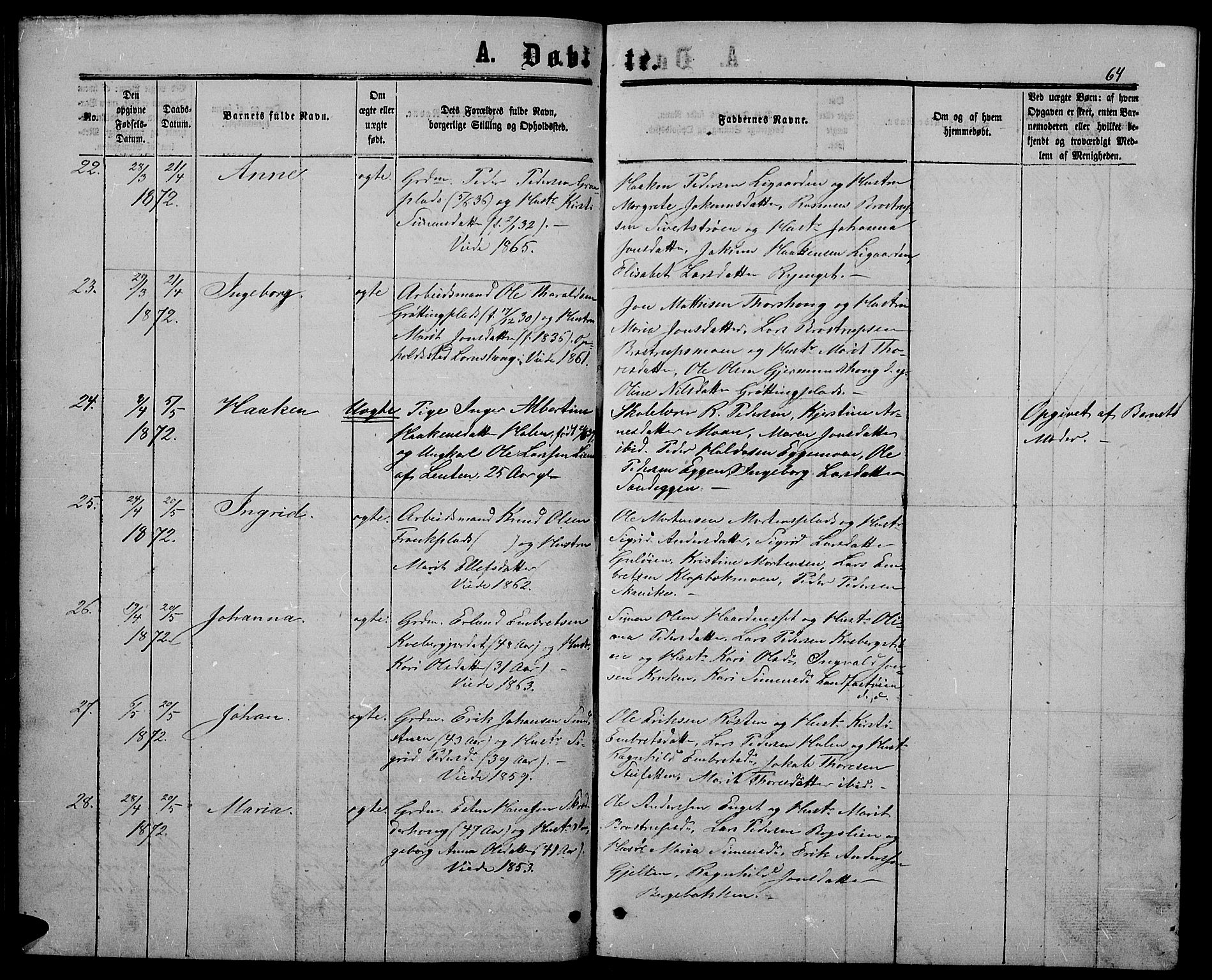 Alvdal prestekontor, SAH/PREST-060/H/Ha/Hab/L0002: Klokkerbok nr. 2, 1863-1878, s. 64