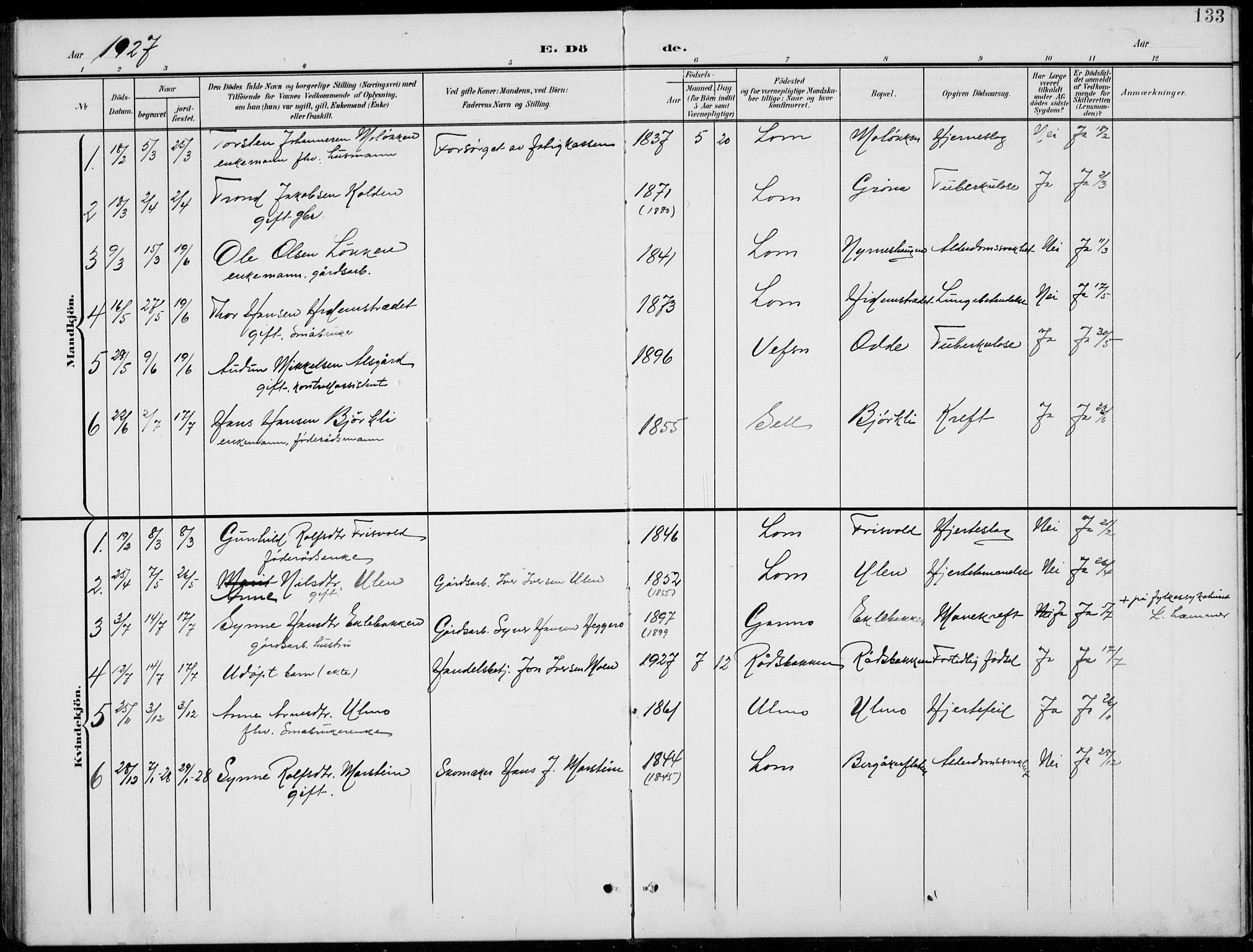 Lom prestekontor, AV/SAH-PREST-070/L/L0006: Klokkerbok nr. 6, 1901-1939, s. 133