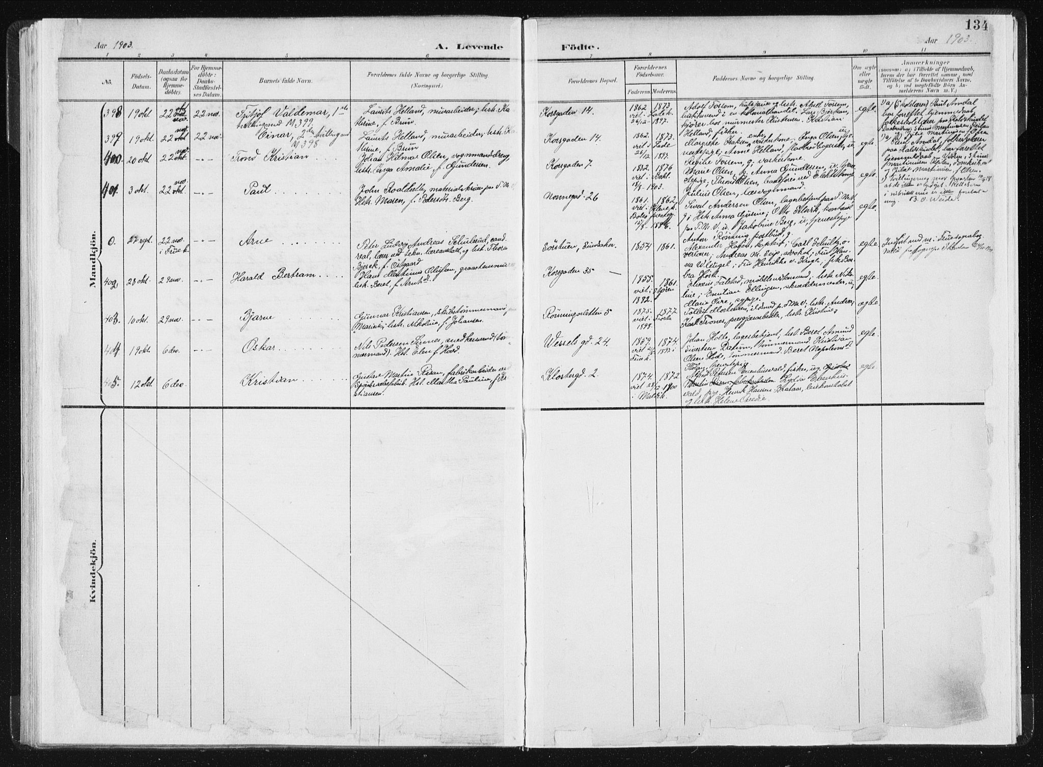 Ministerialprotokoller, klokkerbøker og fødselsregistre - Sør-Trøndelag, AV/SAT-A-1456/604/L0199: Ministerialbok nr. 604A20I, 1901-1906, s. 134