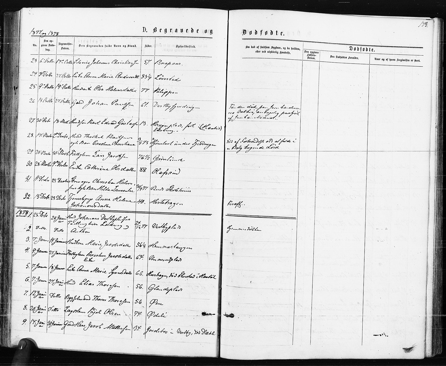 Spydeberg prestekontor Kirkebøker, SAO/A-10924/F/Fa/L0007: Ministerialbok nr. I 7, 1875-1885, s. 173