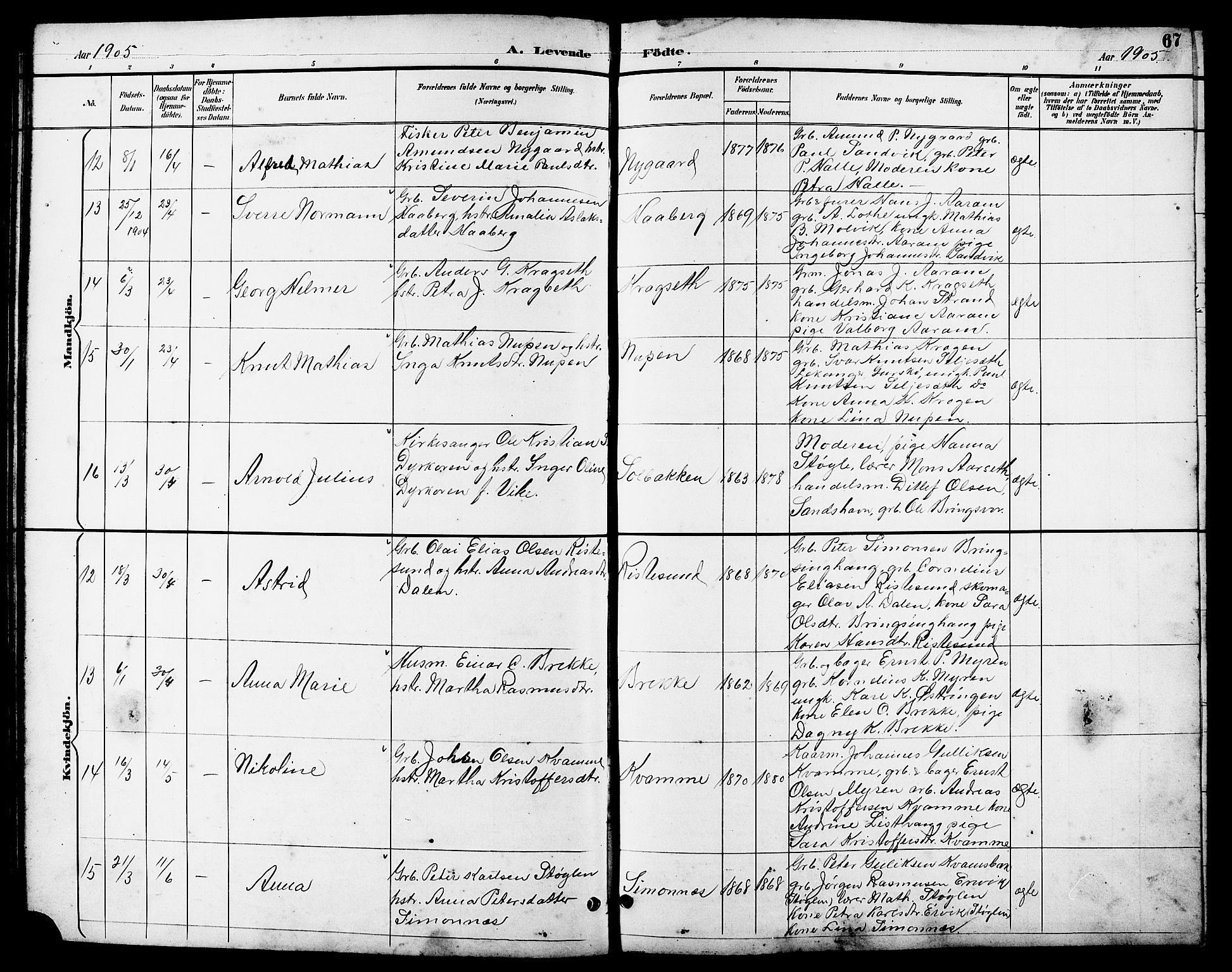 Ministerialprotokoller, klokkerbøker og fødselsregistre - Møre og Romsdal, AV/SAT-A-1454/503/L0049: Klokkerbok nr. 503C04, 1894-1915, s. 67