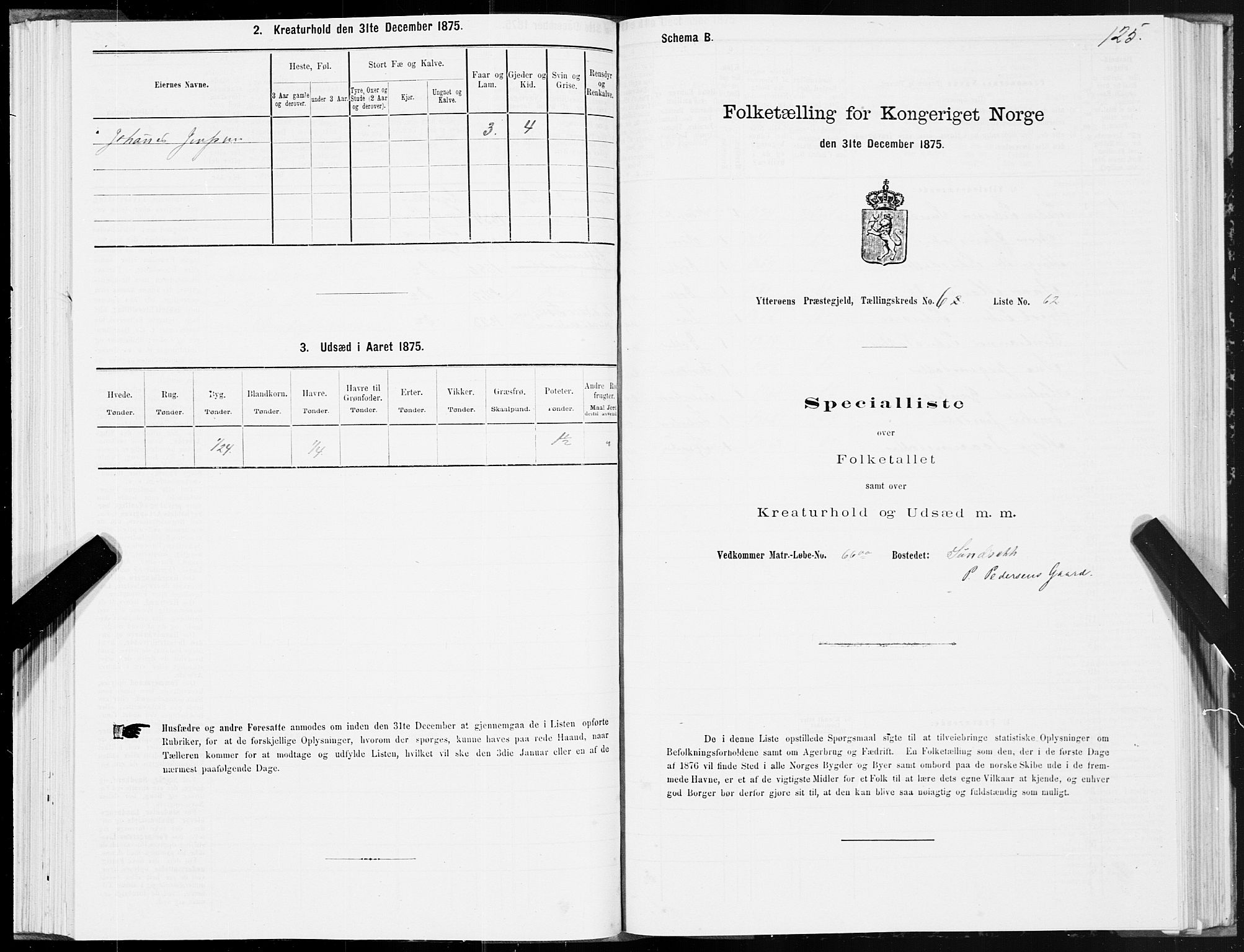 SAT, Folketelling 1875 for 1722P Ytterøy prestegjeld, 1875, s. 3125