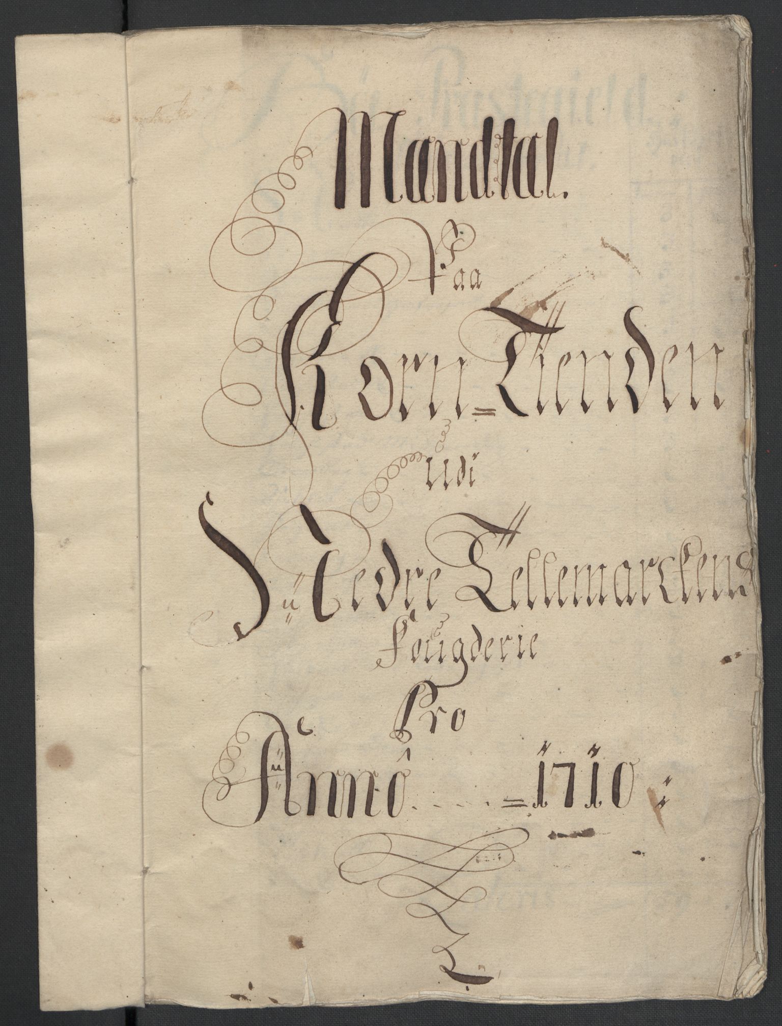 Rentekammeret inntil 1814, Reviderte regnskaper, Fogderegnskap, AV/RA-EA-4092/R36/L2119: Fogderegnskap Øvre og Nedre Telemark og Bamble, 1710, s. 29