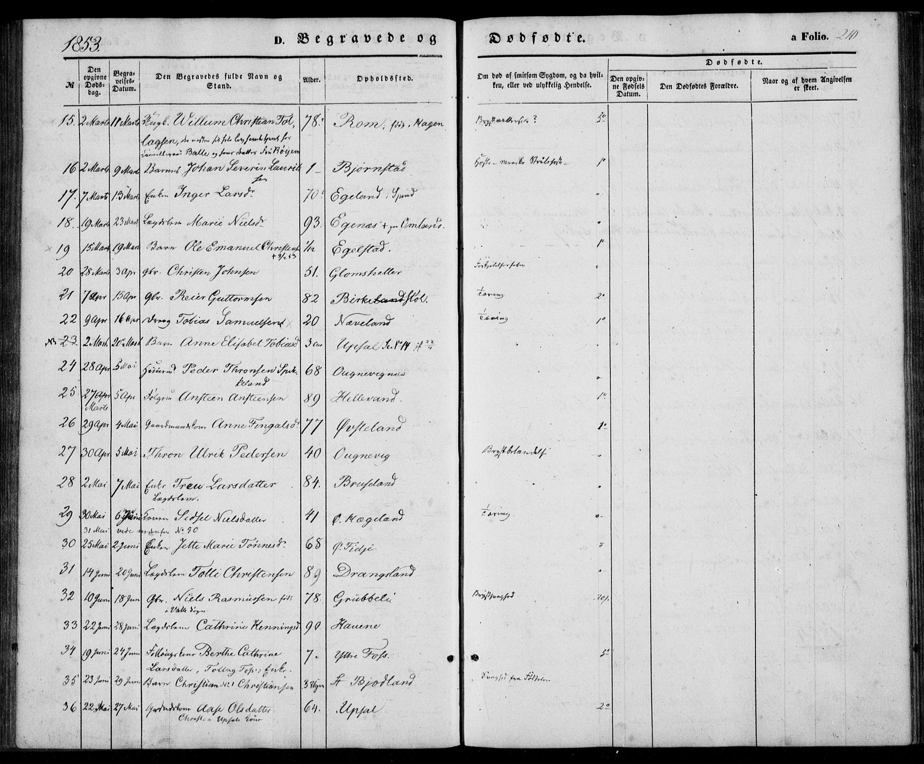 Lyngdal sokneprestkontor, SAK/1111-0029/F/Fa/Fac/L0009: Ministerialbok nr. A 9, 1852-1864, s. 210