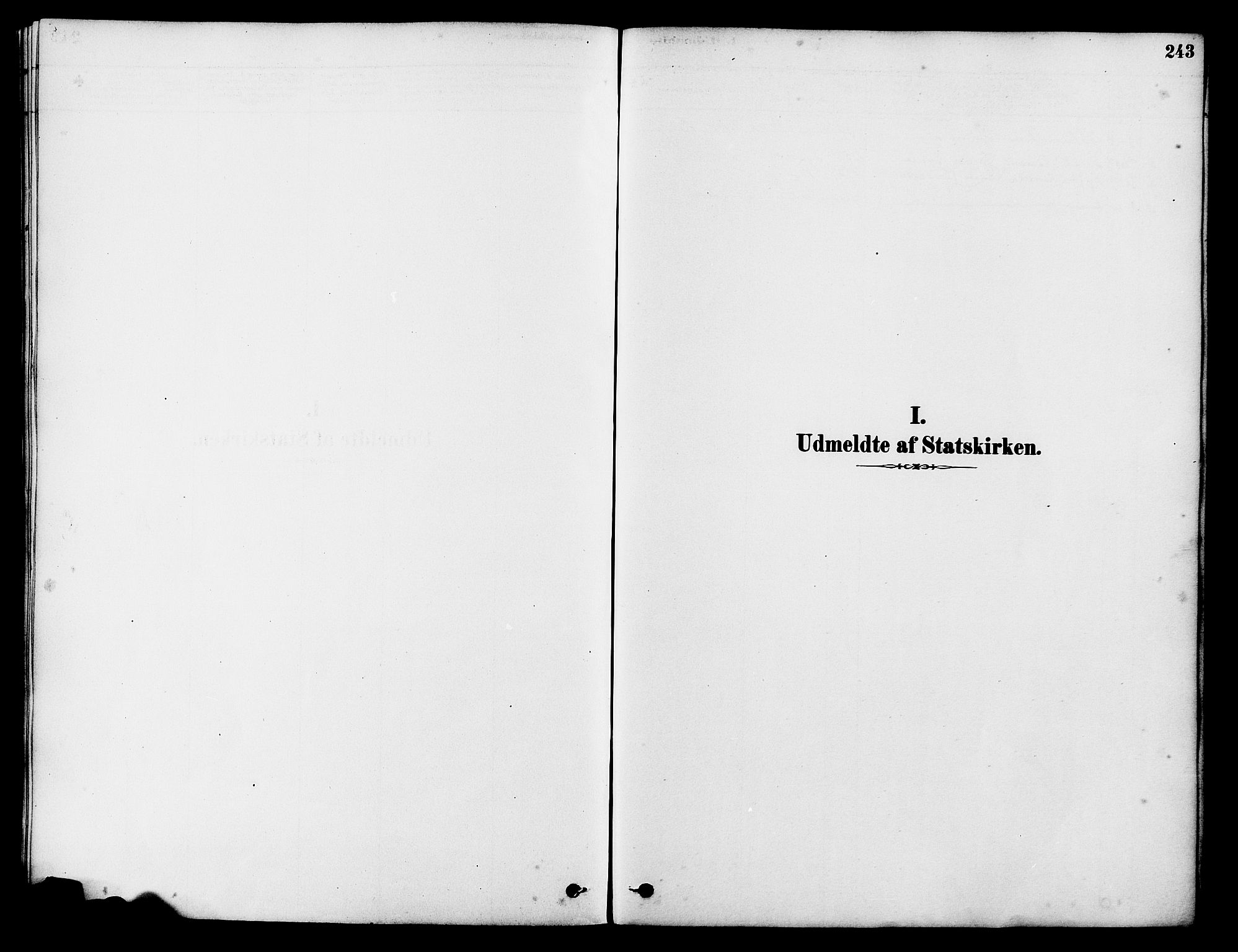 Tysvær sokneprestkontor, AV/SAST-A -101864/H/Ha/Haa/L0006: Ministerialbok nr. A 6, 1878-1896, s. 243