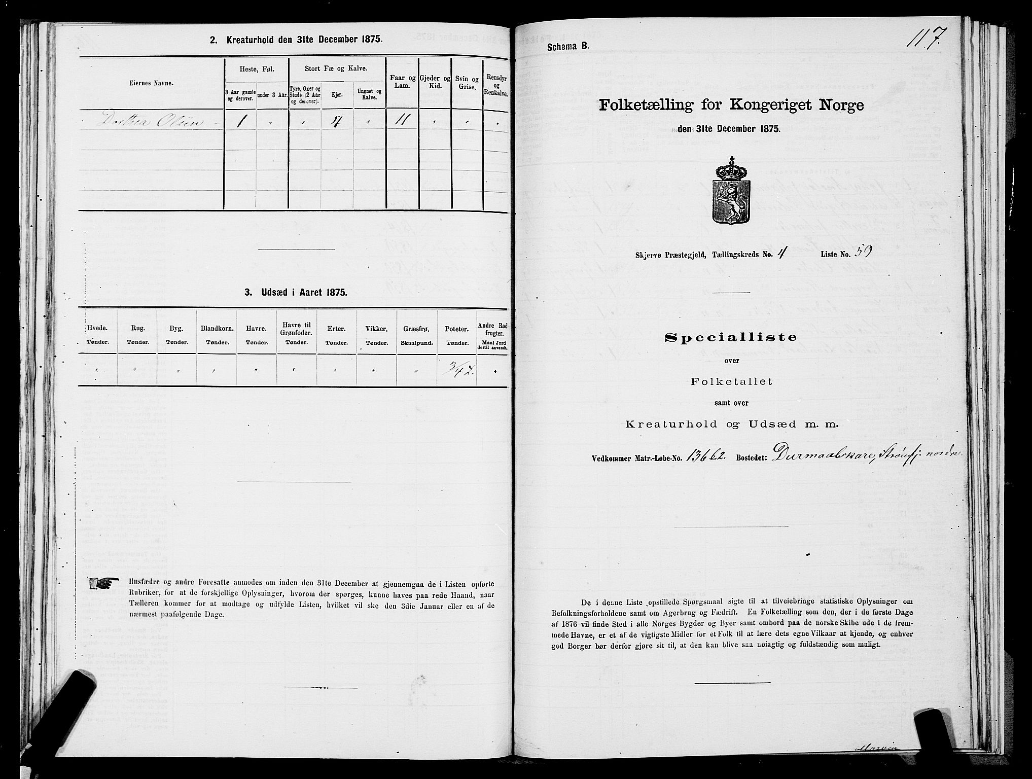 SATØ, Folketelling 1875 for 1941P Skjervøy prestegjeld, 1875, s. 3117