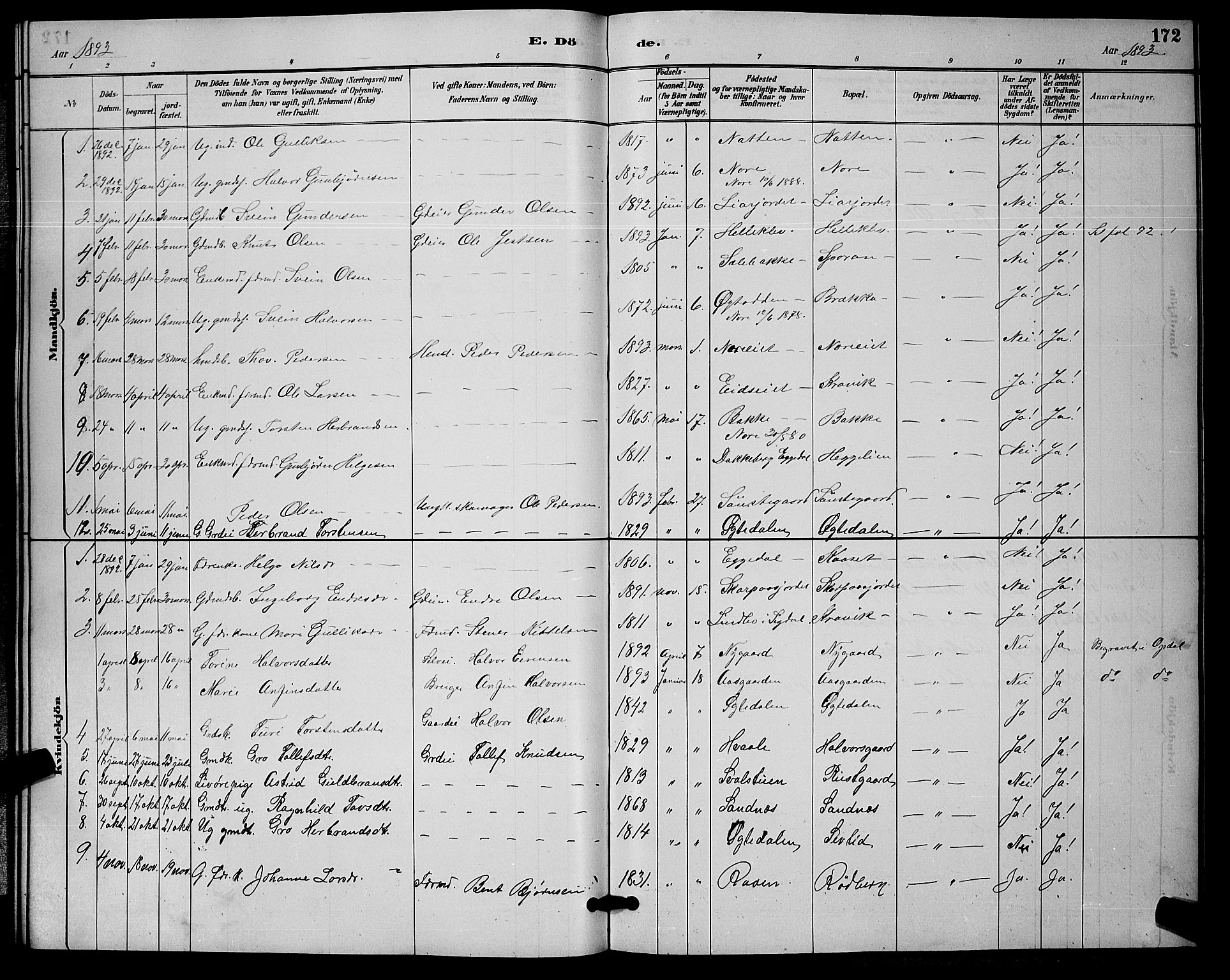 Nore kirkebøker, AV/SAKO-A-238/G/Ga/L0003: Klokkerbok nr. I 3, 1886-1903, s. 172