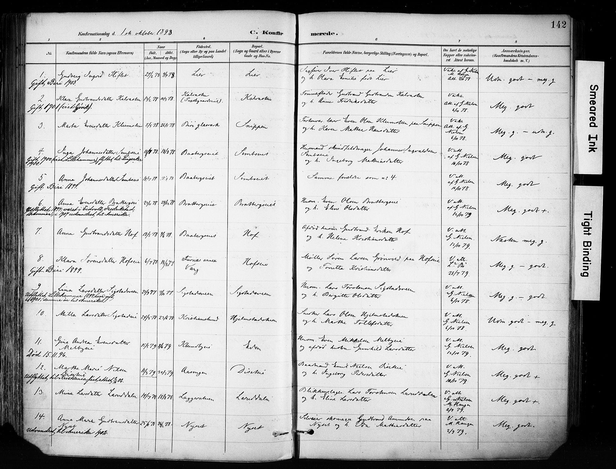 Biri prestekontor, AV/SAH-PREST-096/H/Ha/Haa/L0009: Ministerialbok nr. 9, 1887-1900, s. 142