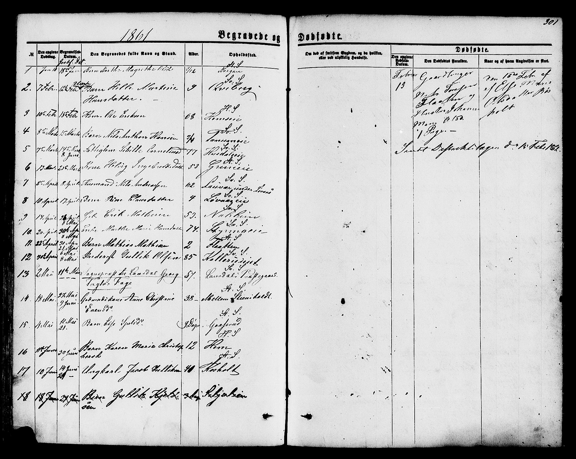 Lardal kirkebøker, AV/SAKO-A-350/F/Fa/L0007: Ministerialbok nr. I 7, 1861-1880, s. 301