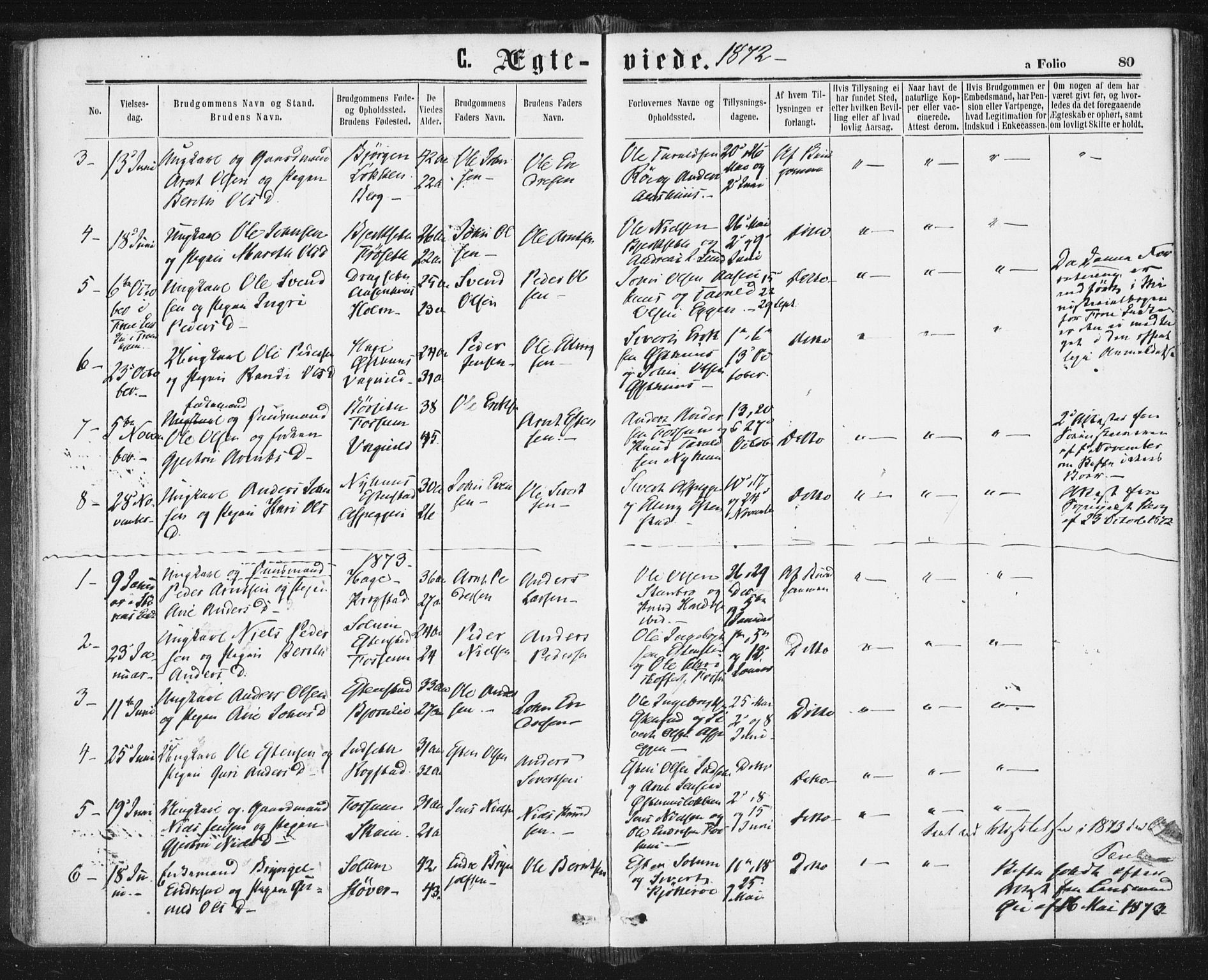 Ministerialprotokoller, klokkerbøker og fødselsregistre - Sør-Trøndelag, SAT/A-1456/689/L1039: Ministerialbok nr. 689A04, 1865-1878, s. 80