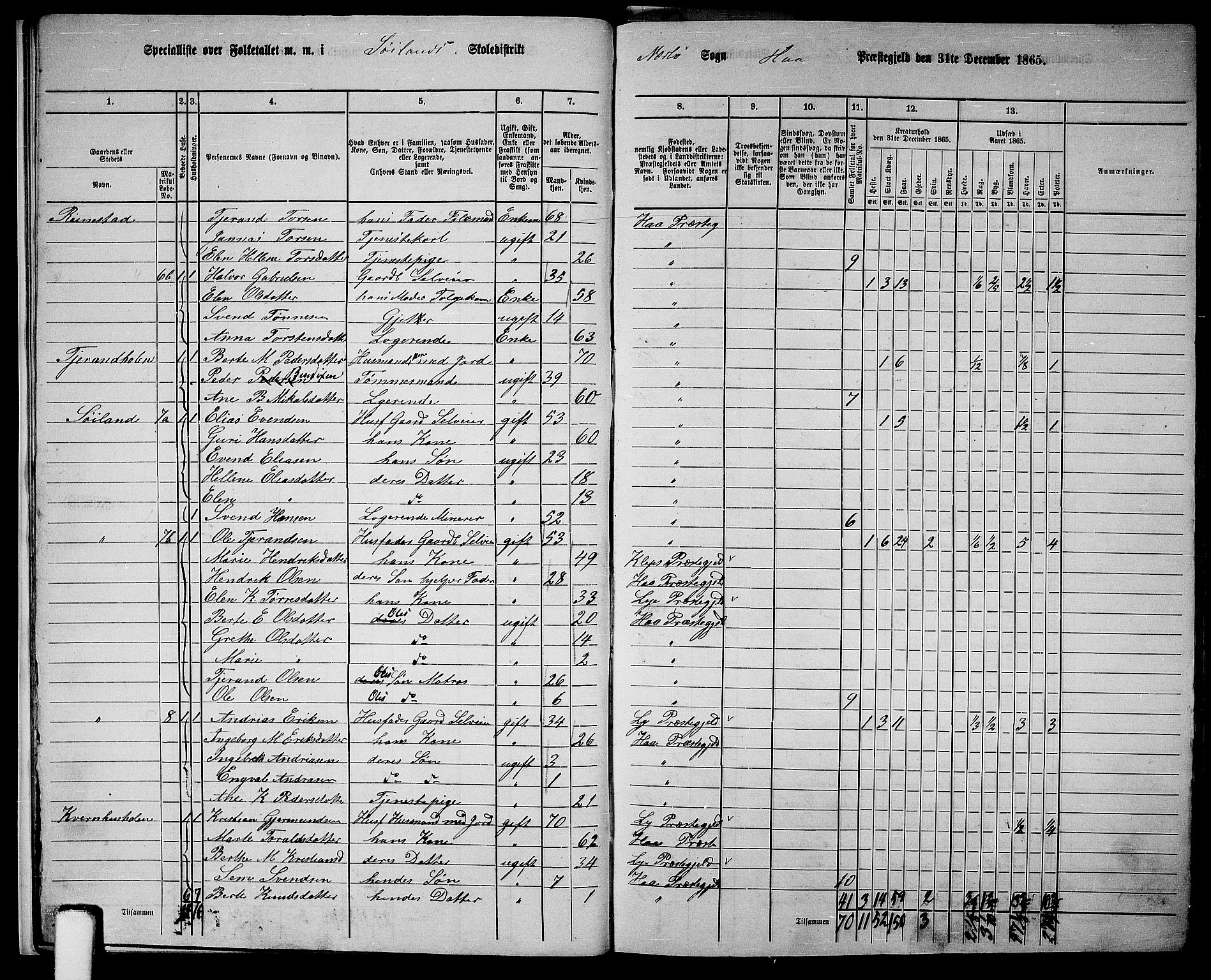 RA, Folketelling 1865 for 1119P Hå prestegjeld, 1865, s. 13