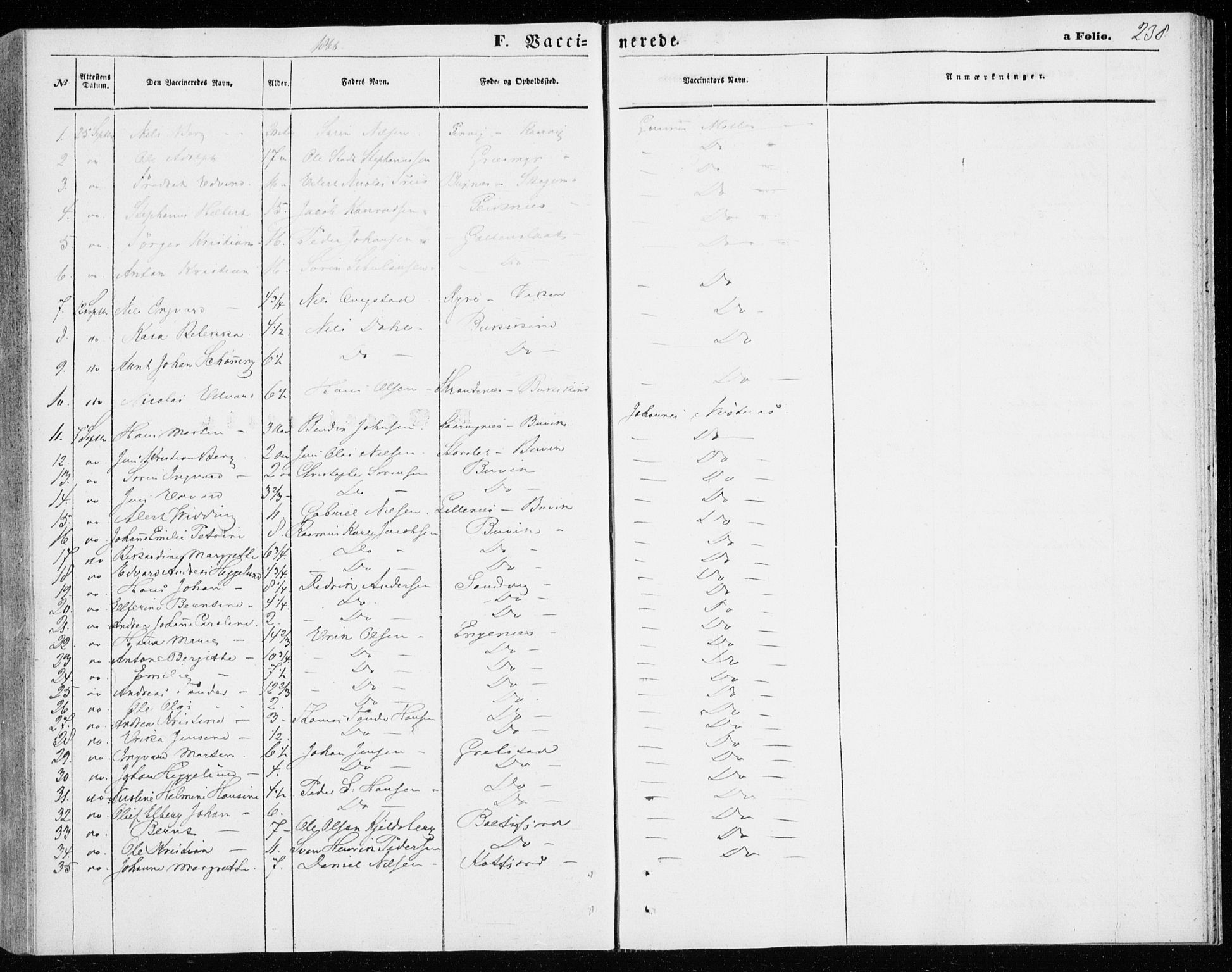 Lenvik sokneprestembete, SATØ/S-1310/H/Ha/Haa/L0009kirke: Ministerialbok nr. 9, 1866-1873, s. 238