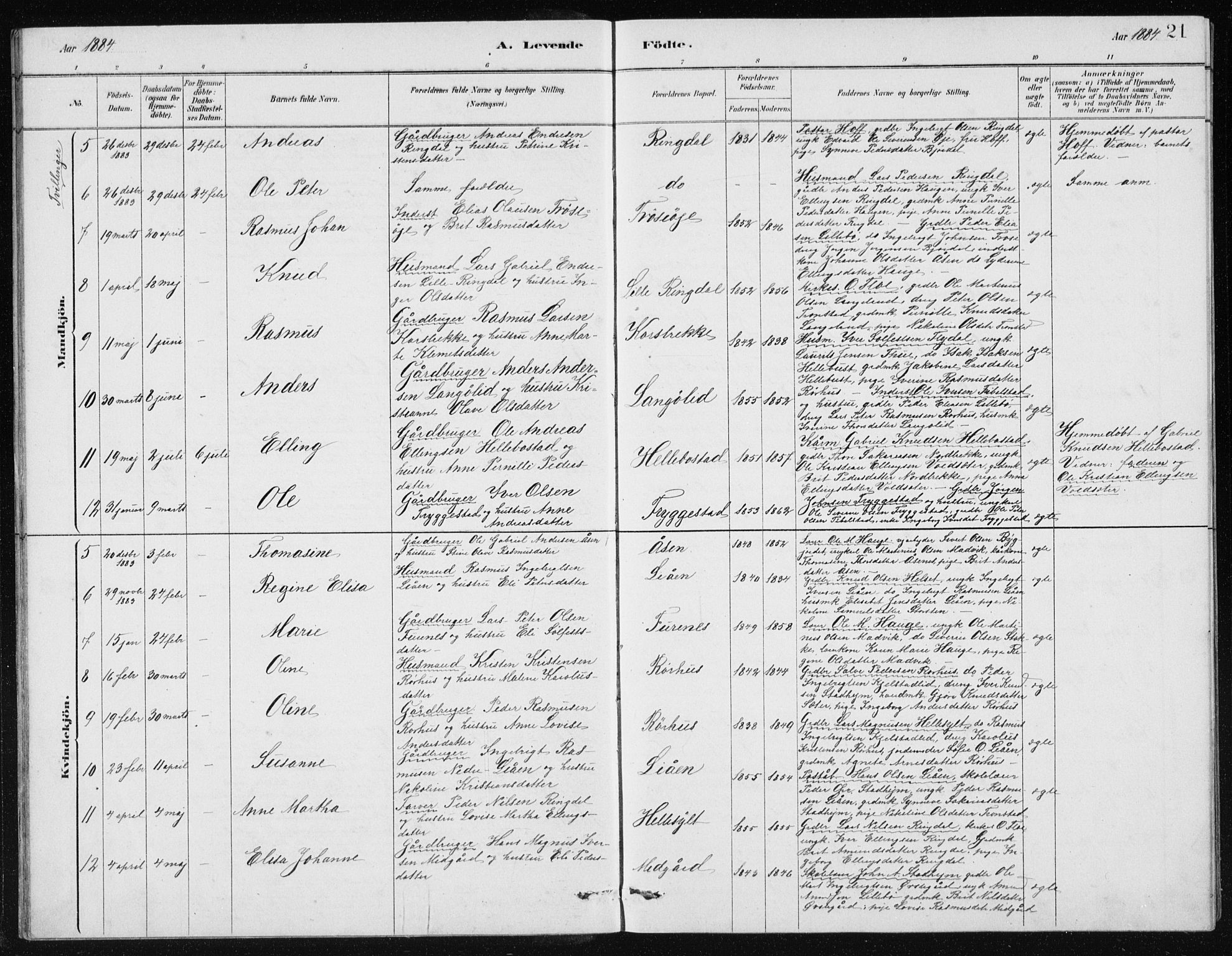 Ministerialprotokoller, klokkerbøker og fødselsregistre - Møre og Romsdal, AV/SAT-A-1454/517/L0230: Klokkerbok nr. 517C03, 1879-1912, s. 21