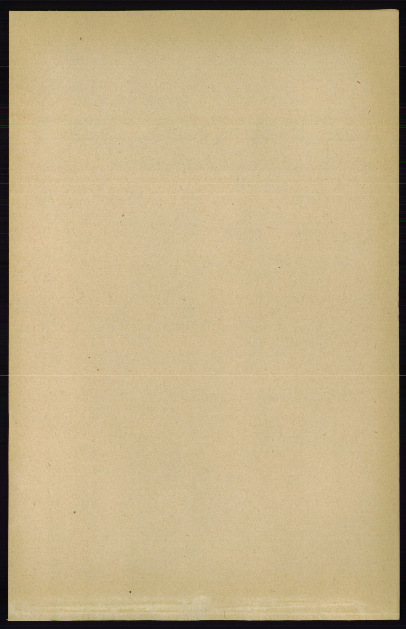 RA, Folketelling 1891 for 0915 Dypvåg herred, 1891, s. 789