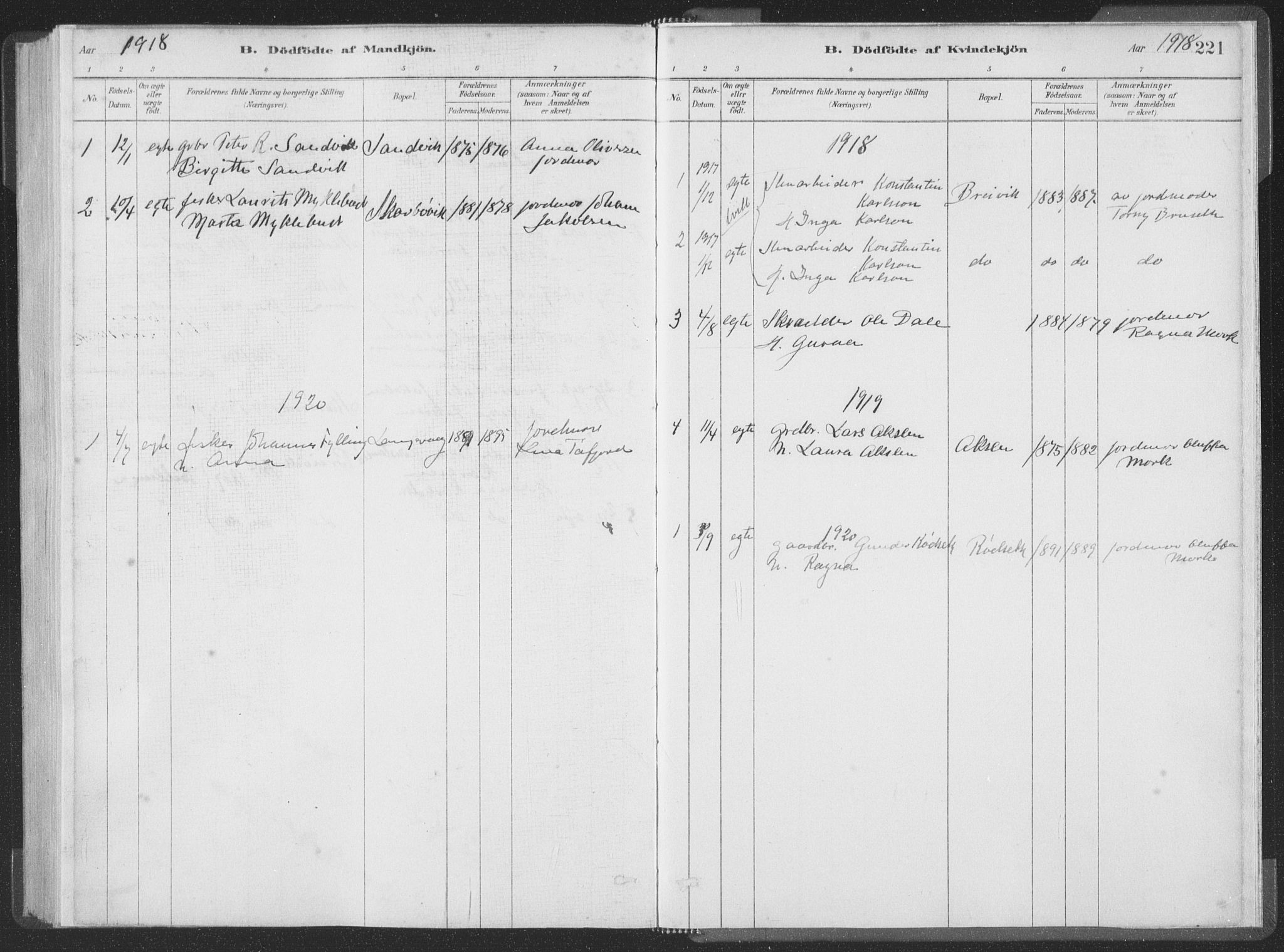 Ministerialprotokoller, klokkerbøker og fødselsregistre - Møre og Romsdal, SAT/A-1454/528/L0401: Ministerialbok nr. 528A12I, 1880-1920, s. 221