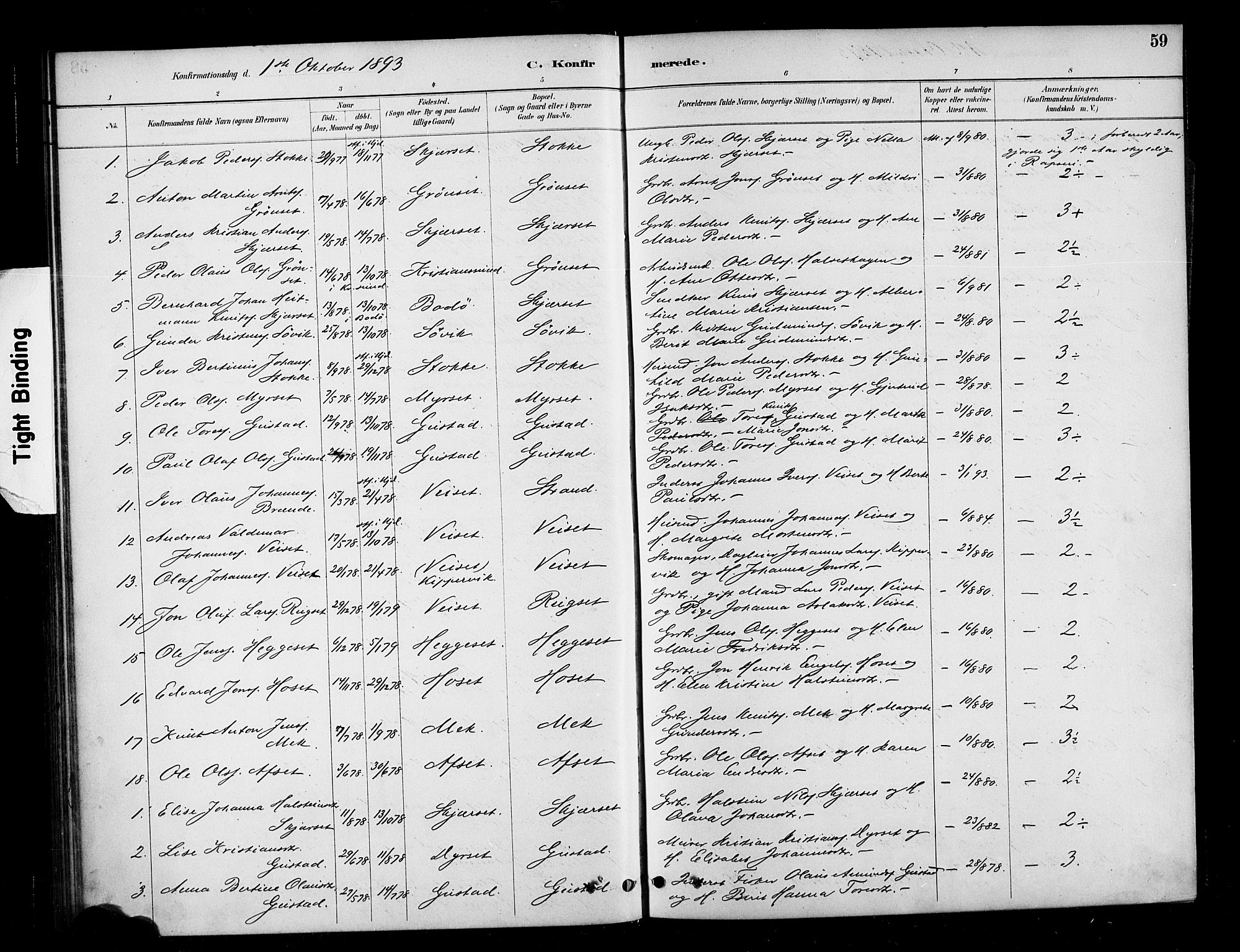 Ministerialprotokoller, klokkerbøker og fødselsregistre - Møre og Romsdal, AV/SAT-A-1454/568/L0809: Ministerialbok nr. 568A13, 1884-1900, s. 59