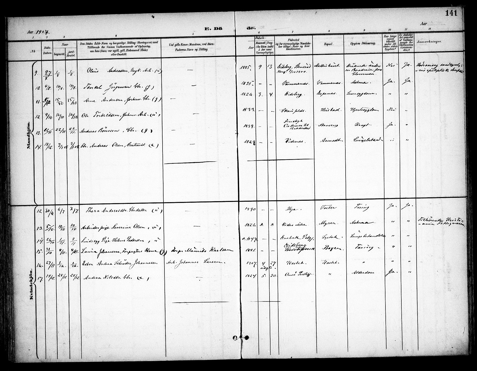 Skiptvet prestekontor Kirkebøker, AV/SAO-A-20009/F/Fa/L0011: Ministerialbok nr. 11, 1901-1913, s. 141