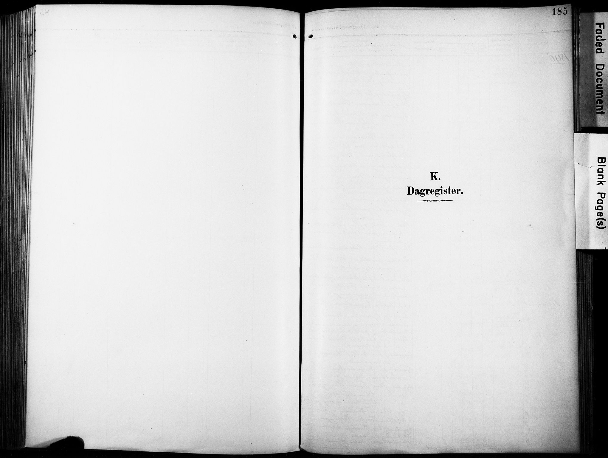 Fiskum kirkebøker, SAKO/A-15/F/Fa/L0003: Ministerialbok nr. 3, 1890-1905, s. 185