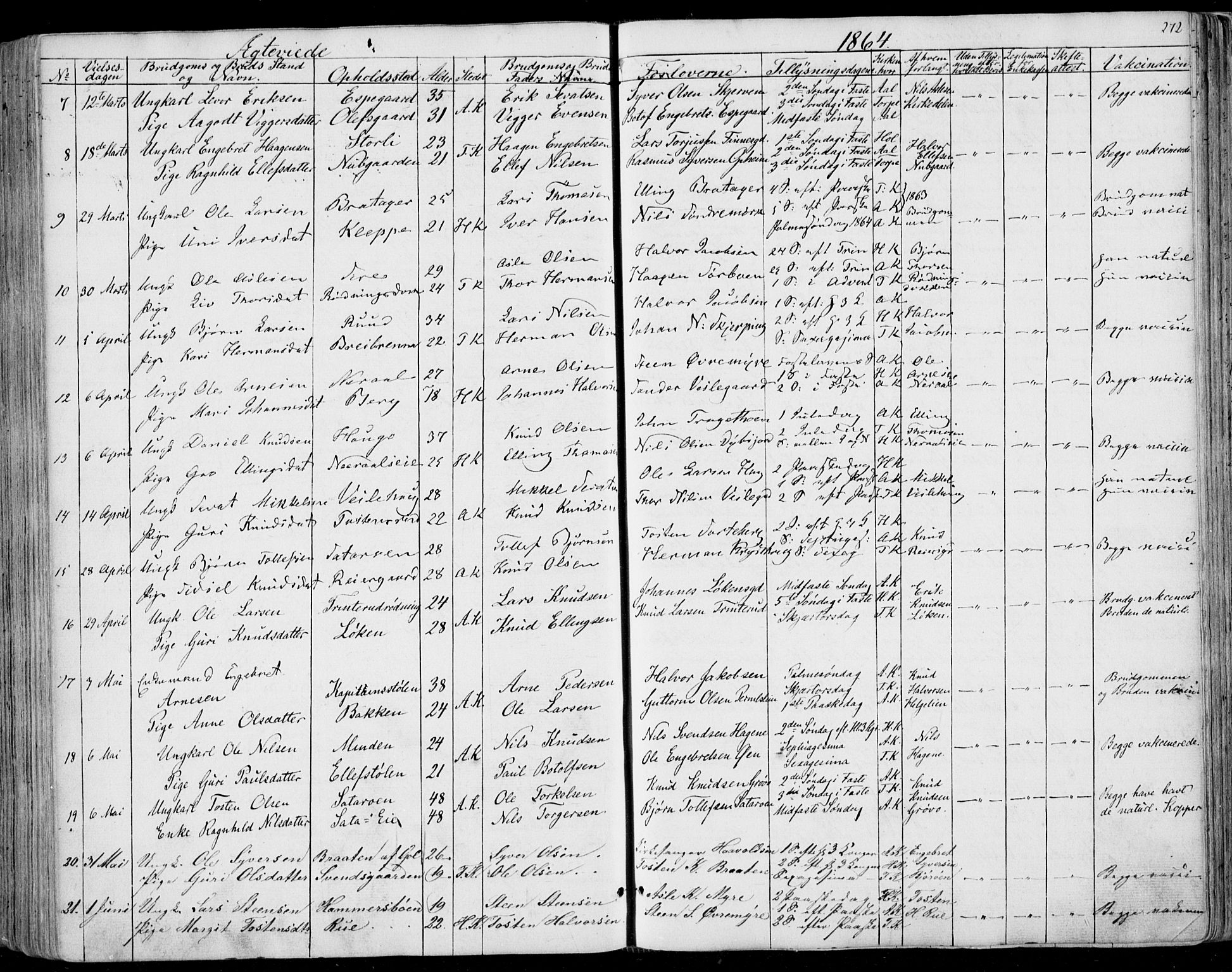 Ål kirkebøker, AV/SAKO-A-249/F/Fa/L0006: Ministerialbok nr. I 6, 1849-1864, s. 272