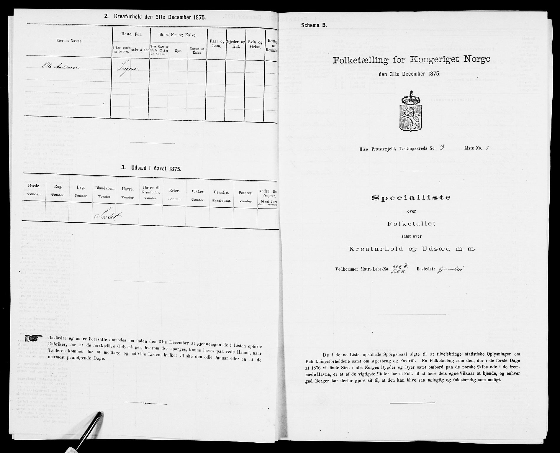 SAK, Folketelling 1875 for 0922P Hisøy prestegjeld, 1875, s. 494