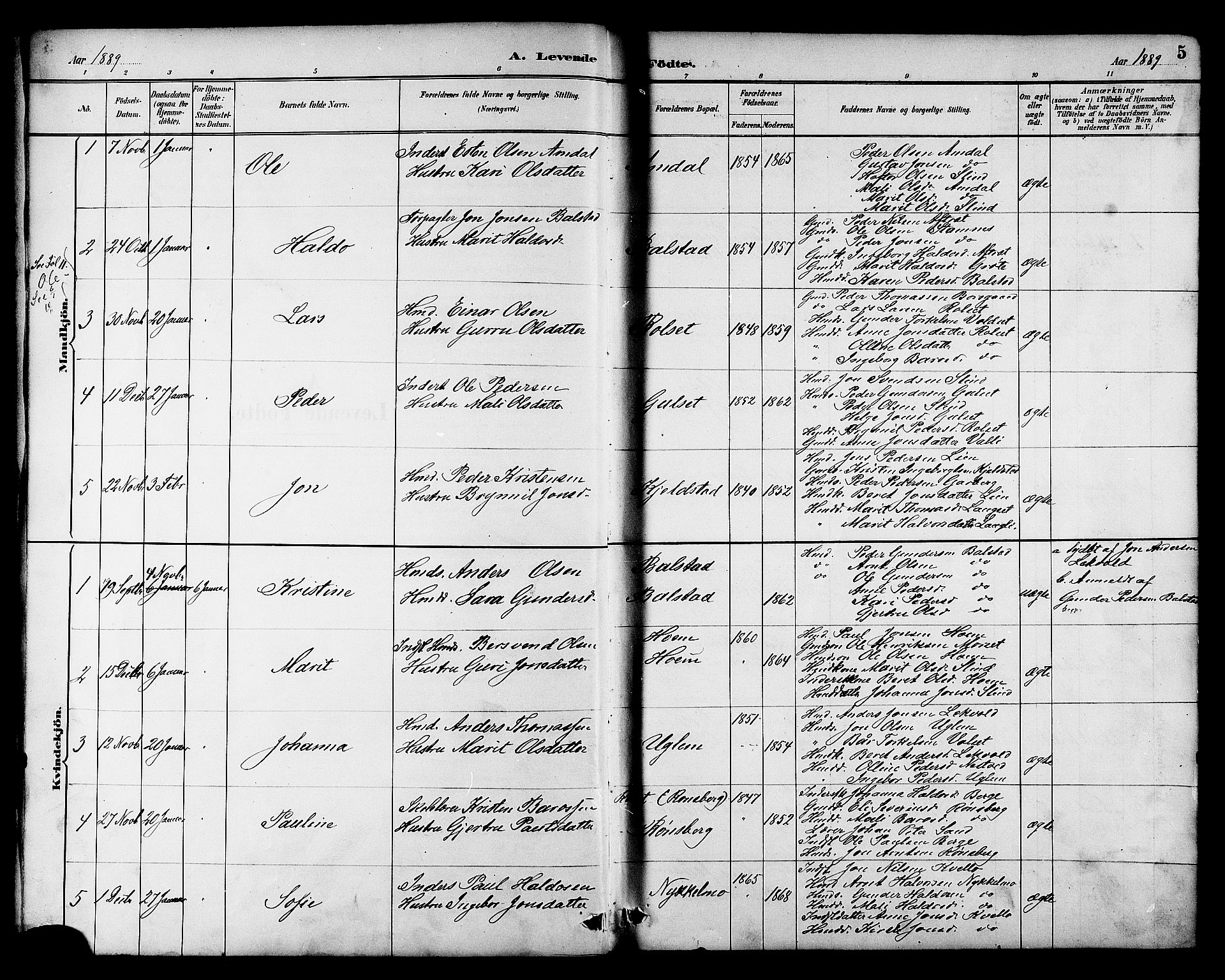 Ministerialprotokoller, klokkerbøker og fødselsregistre - Sør-Trøndelag, SAT/A-1456/695/L1157: Klokkerbok nr. 695C08, 1889-1913, s. 5
