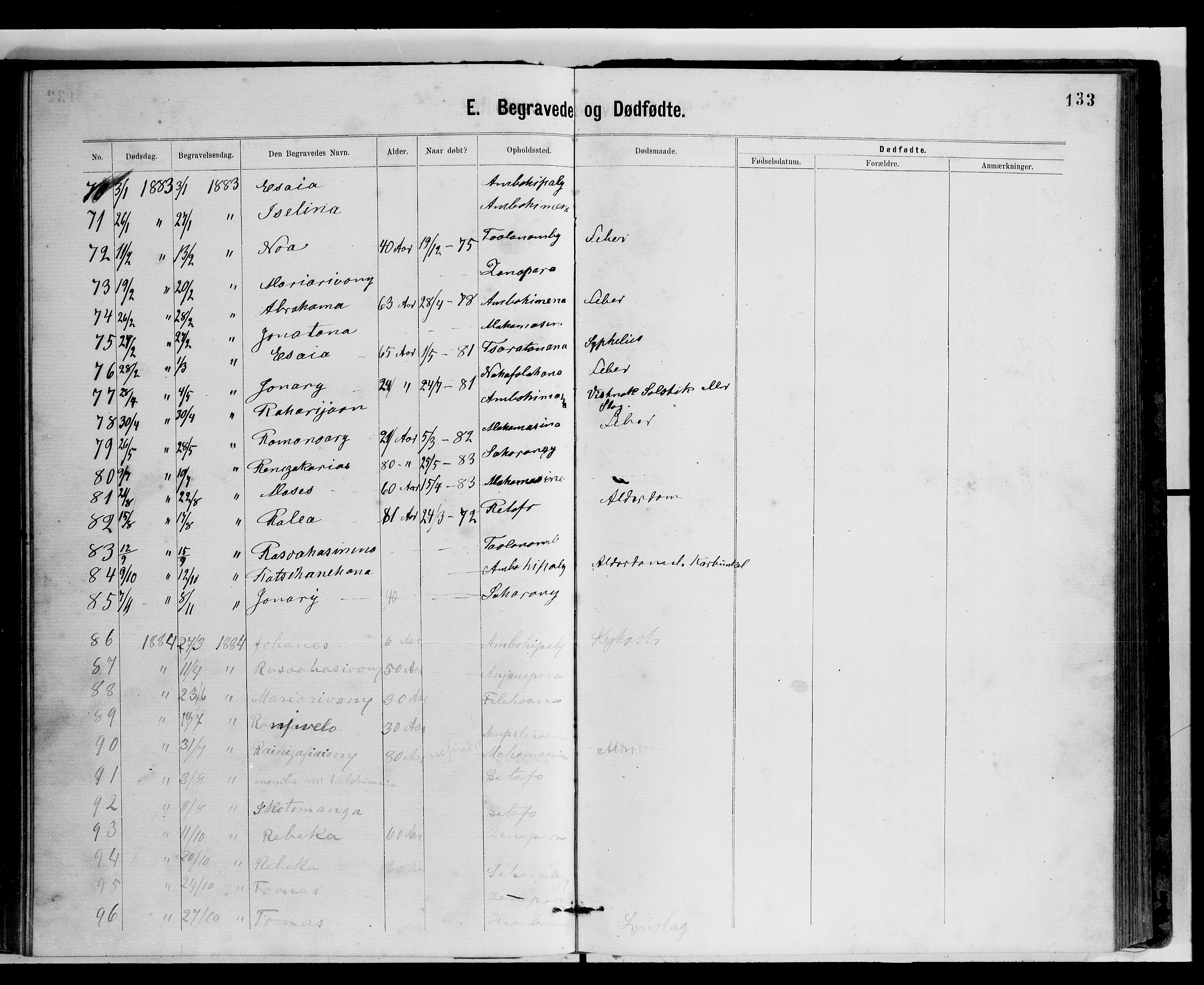 Archives FLM/NMS, Madagaskar, VID/MA-A-1163/D/Db/L0269: Ministerialbok nr. 1, 1867-1884, s. 133