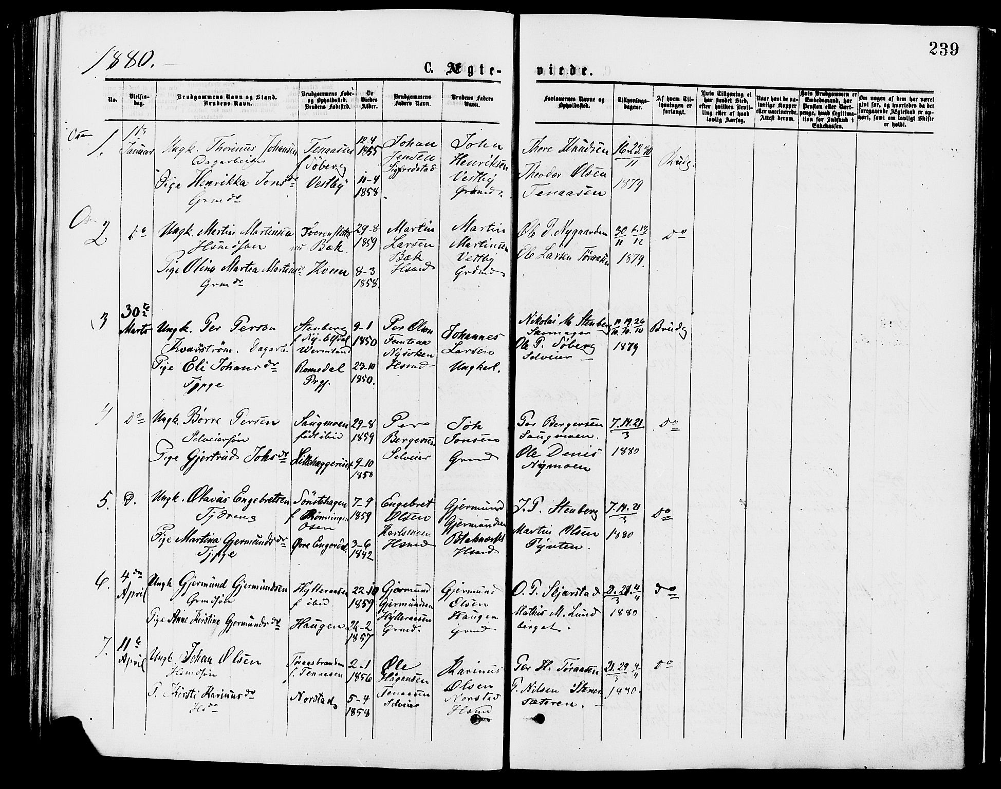 Trysil prestekontor, SAH/PREST-046/H/Ha/Haa/L0007: Ministerialbok nr. 7, 1874-1880, s. 239