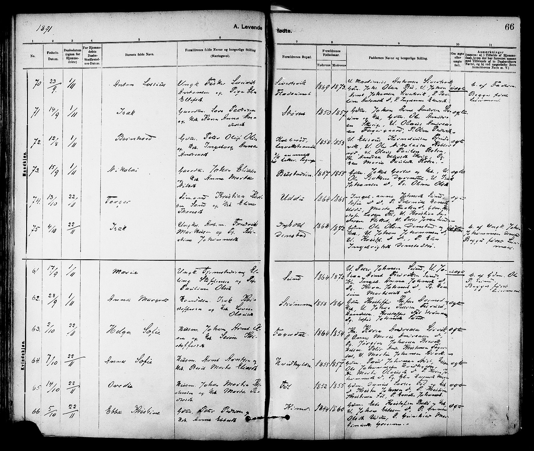 Ministerialprotokoller, klokkerbøker og fødselsregistre - Sør-Trøndelag, AV/SAT-A-1456/647/L0634: Ministerialbok nr. 647A01, 1885-1896, s. 66