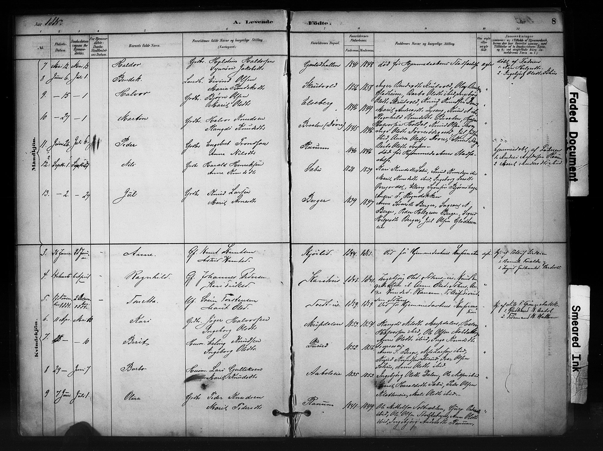 Nord-Aurdal prestekontor, AV/SAH-PREST-132/H/Ha/Haa/L0012: Ministerialbok nr. 12, 1883-1895, s. 8