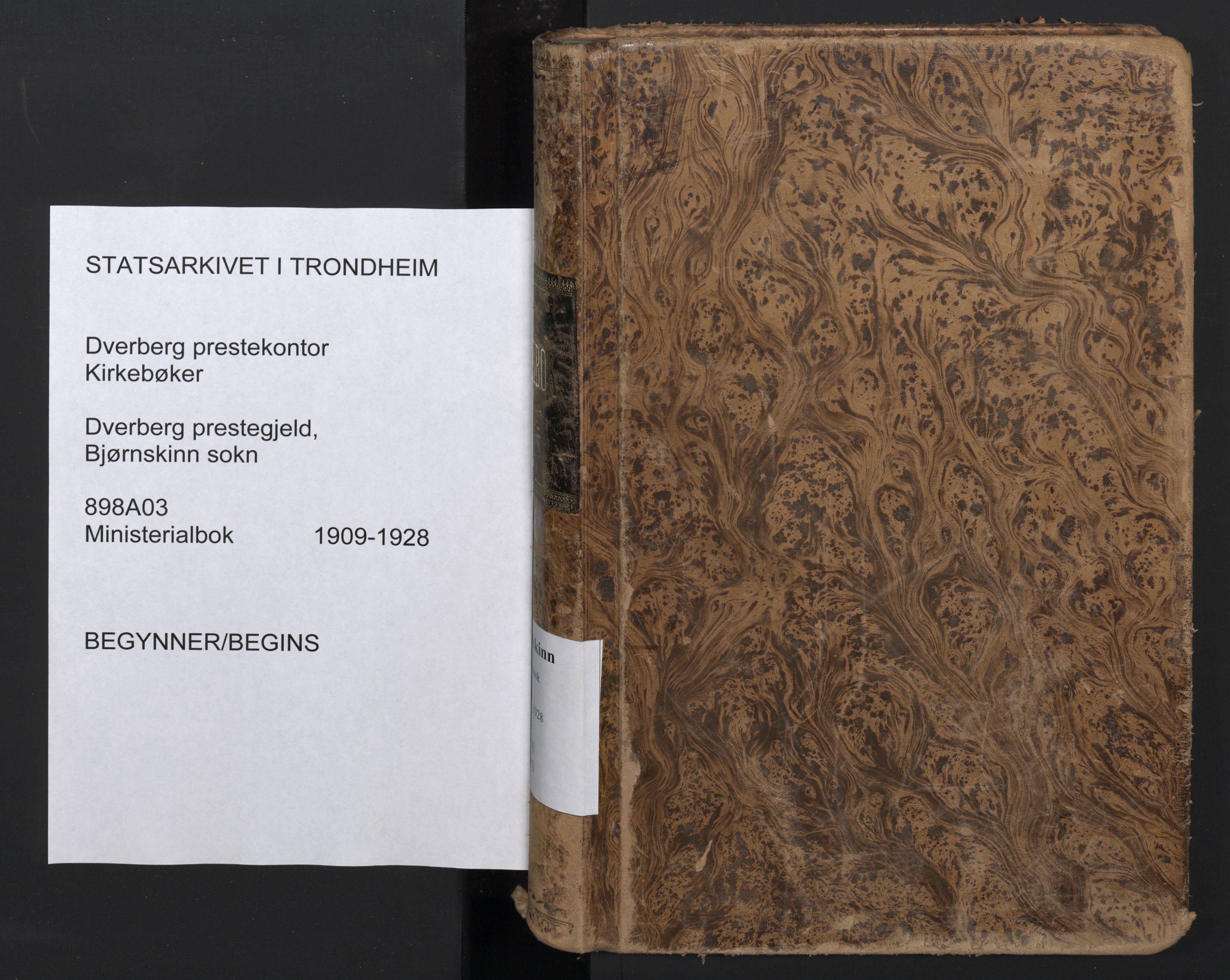 Ministerialprotokoller, klokkerbøker og fødselsregistre - Nordland, SAT/A-1459/898/L1423: Ministerialbok nr. 898A03, 1909-1928