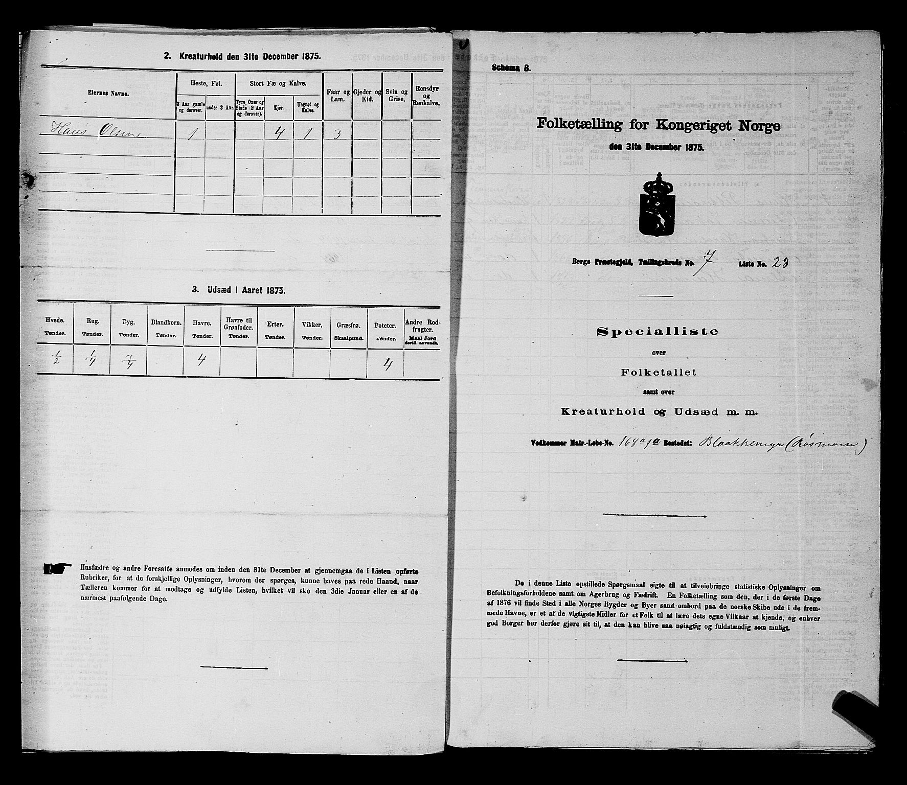 RA, Folketelling 1875 for 0116P Berg prestegjeld, 1875, s. 1123