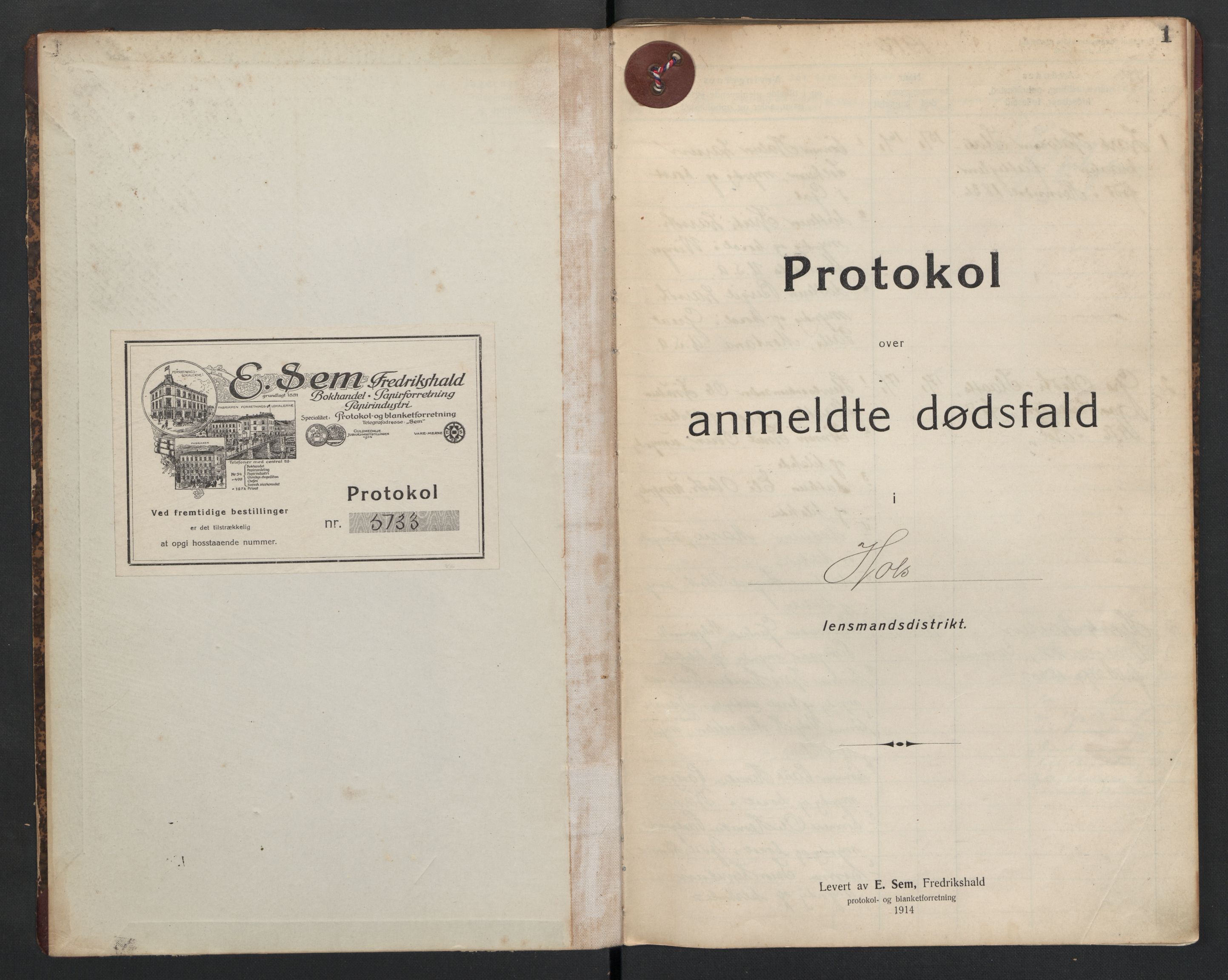 Hol lensmannskontor, AV/SAKO-A-512/H/Ha/L0005: Dødsanmeldelsesprotokoll, 1917-1924, s. 1