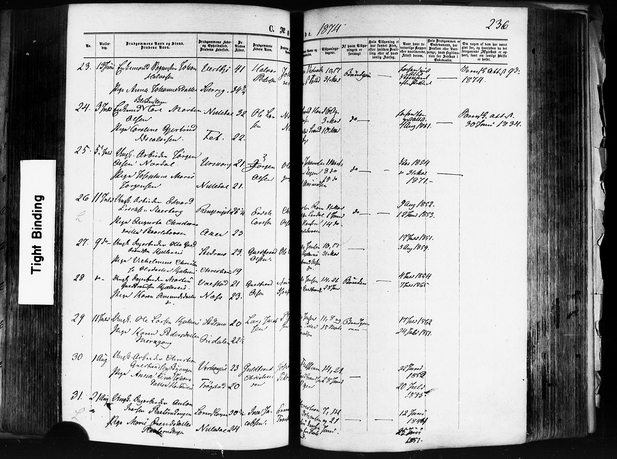 Skedsmo prestekontor Kirkebøker, AV/SAO-A-10033a/F/Fa/L0011: Ministerialbok nr. I 11, 1866-1876, s. 236
