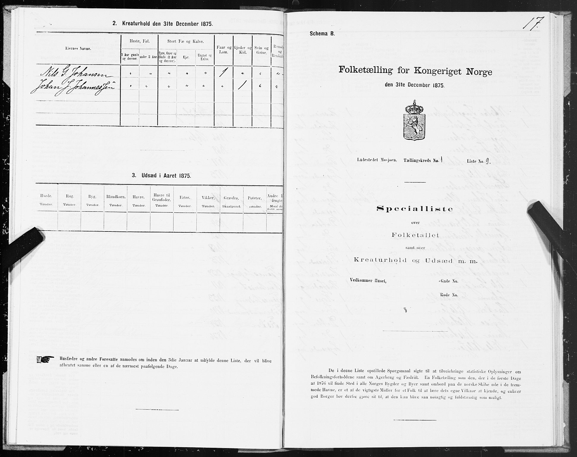 SAT, Folketelling 1875 for 1802B Vefsn prestegjeld, Mosjøen ladested, 1875, s. 17