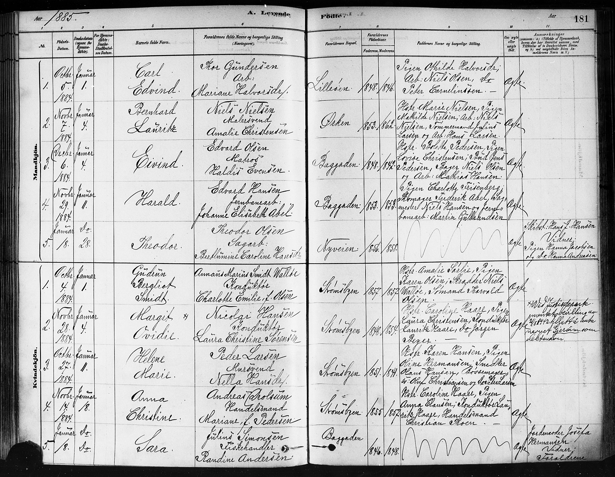 Strømsø kirkebøker, AV/SAKO-A-246/F/Fa/L0021: Ministerialbok nr. I 21, 1878-1885, s. 181