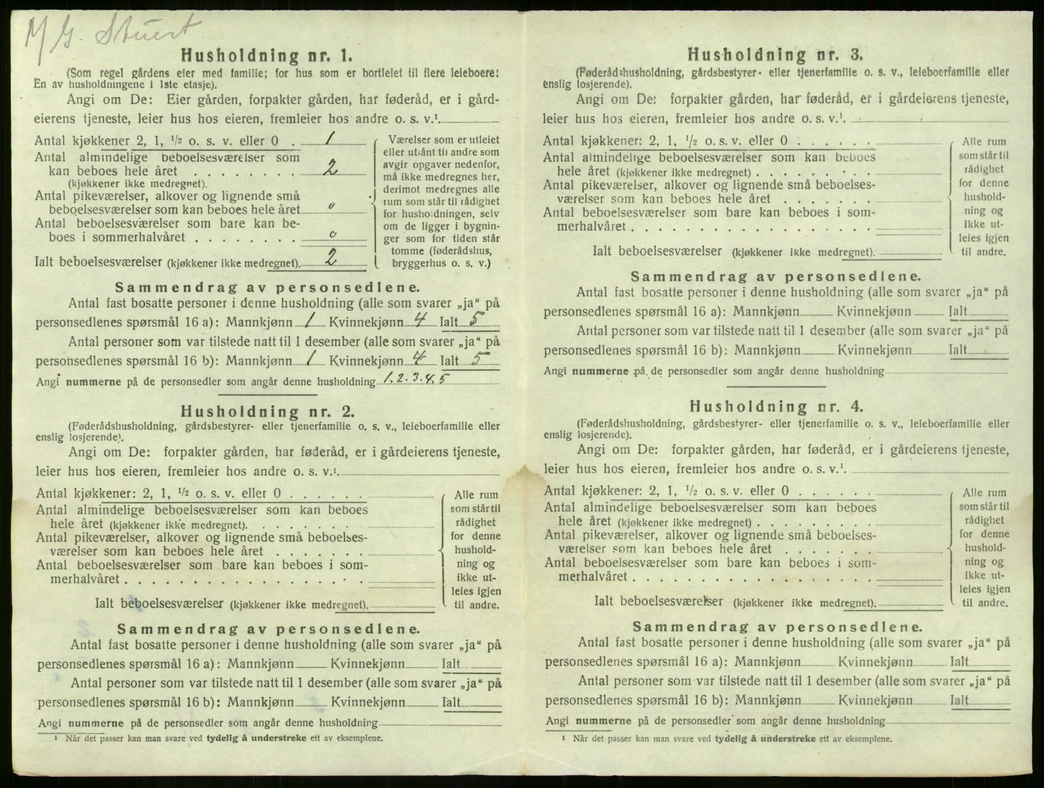 SAKO, Folketelling 1920 for 0722 Nøtterøy herred, 1920, s. 875