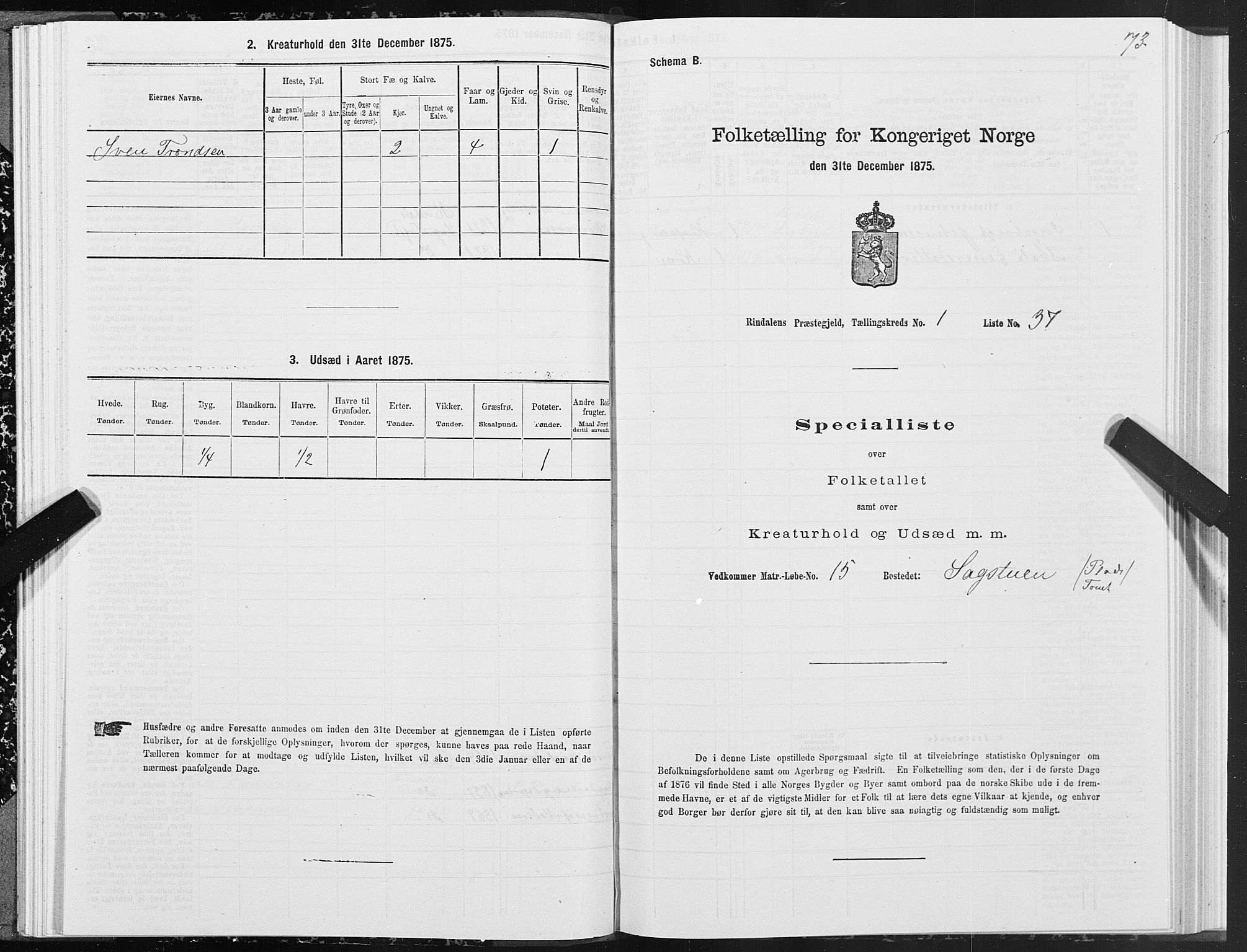 SAT, Folketelling 1875 for 1567P Rindal prestegjeld, 1875, s. 1073