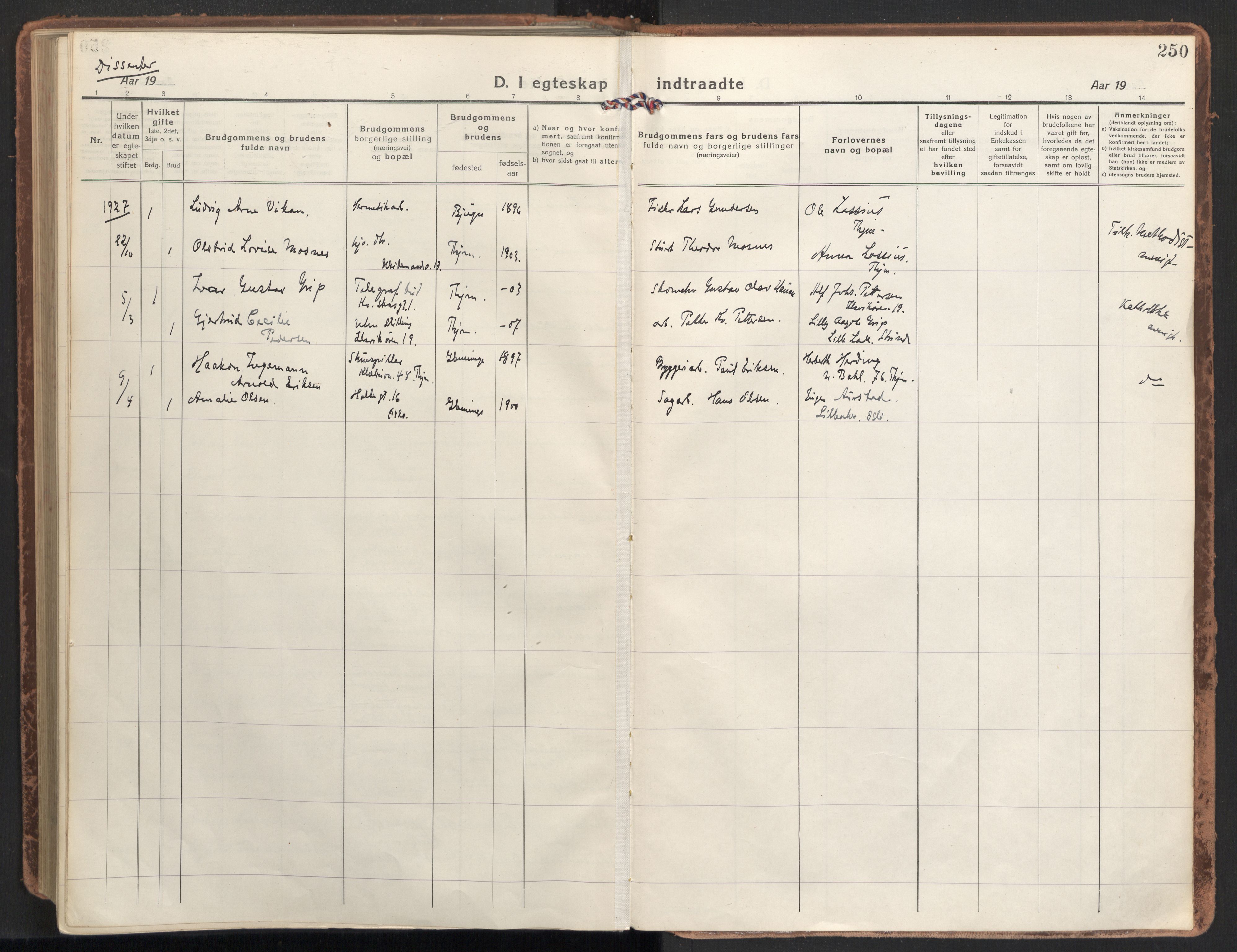 Ministerialprotokoller, klokkerbøker og fødselsregistre - Sør-Trøndelag, SAT/A-1456/604/L0206: Ministerialbok nr. 604A26, 1917-1931, s. 250