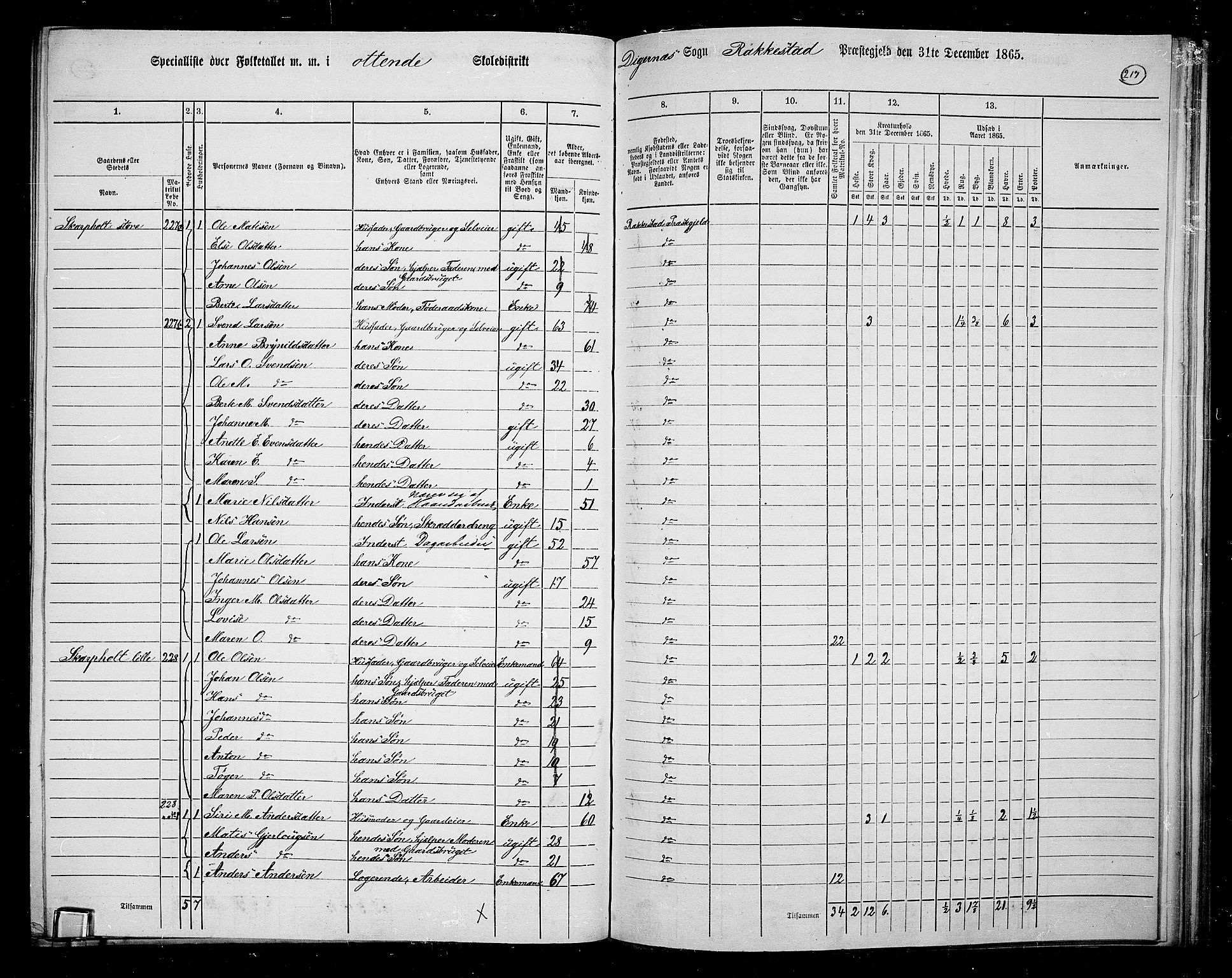 RA, Folketelling 1865 for 0128P Rakkestad prestegjeld, 1865, s. 208