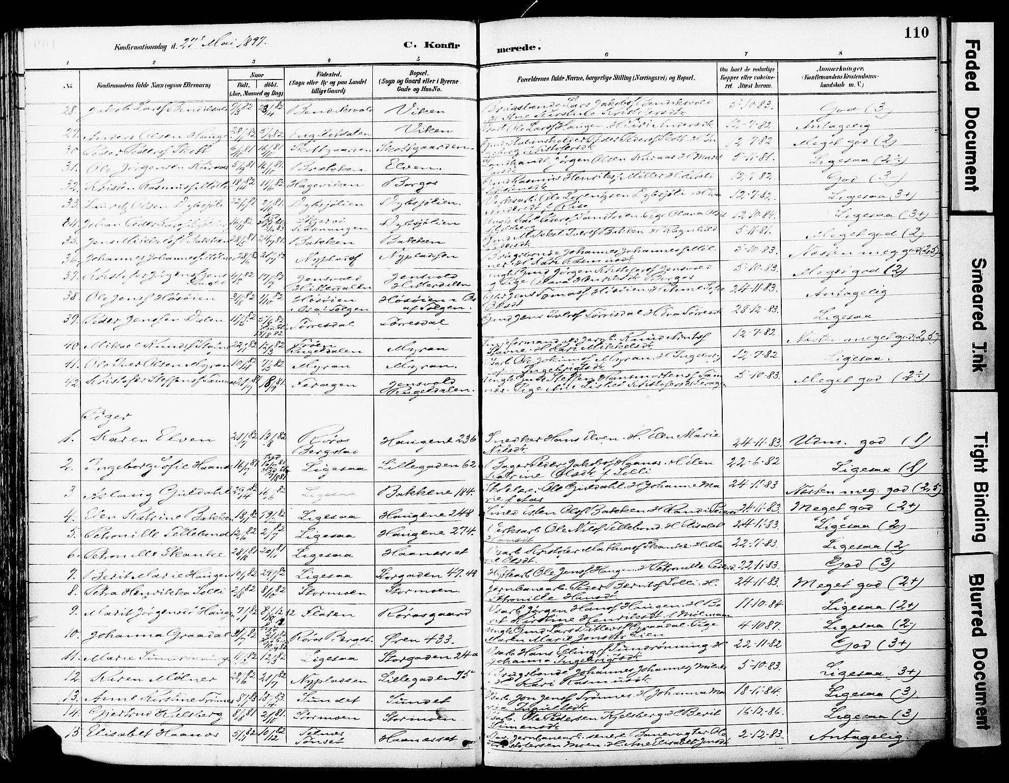 Ministerialprotokoller, klokkerbøker og fødselsregistre - Sør-Trøndelag, AV/SAT-A-1456/681/L0935: Ministerialbok nr. 681A13, 1890-1898, s. 110