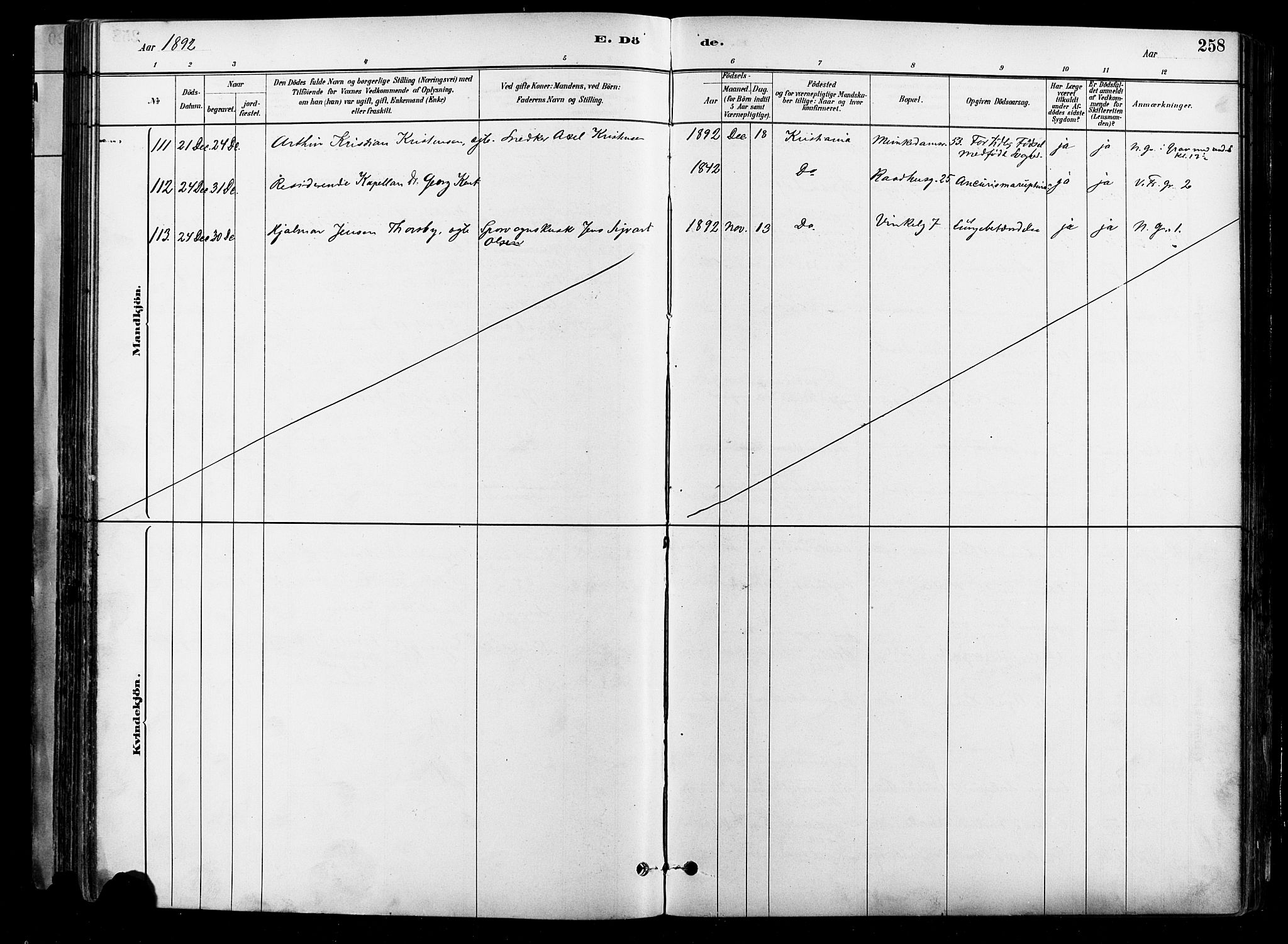 Johannes prestekontor Kirkebøker, AV/SAO-A-10852/F/Fa/L0004: Ministerialbok nr. 4, 1883-1907, s. 258