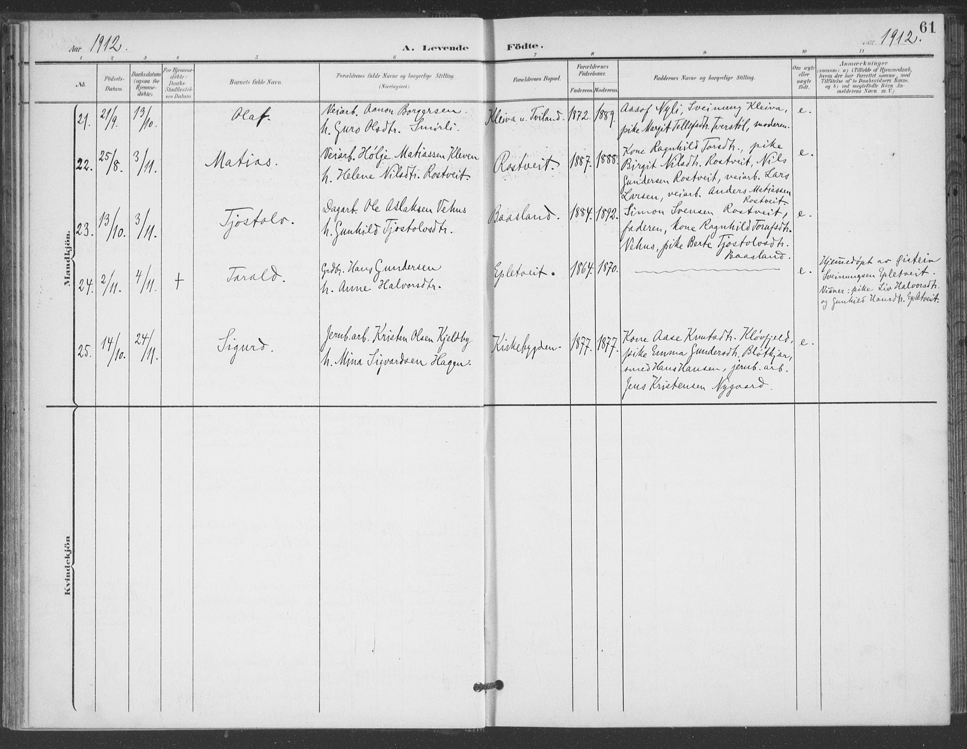 Åmli sokneprestkontor, AV/SAK-1111-0050/F/Fa/Fac/L0012: Ministerialbok nr. A 12, 1900-1914, s. 61