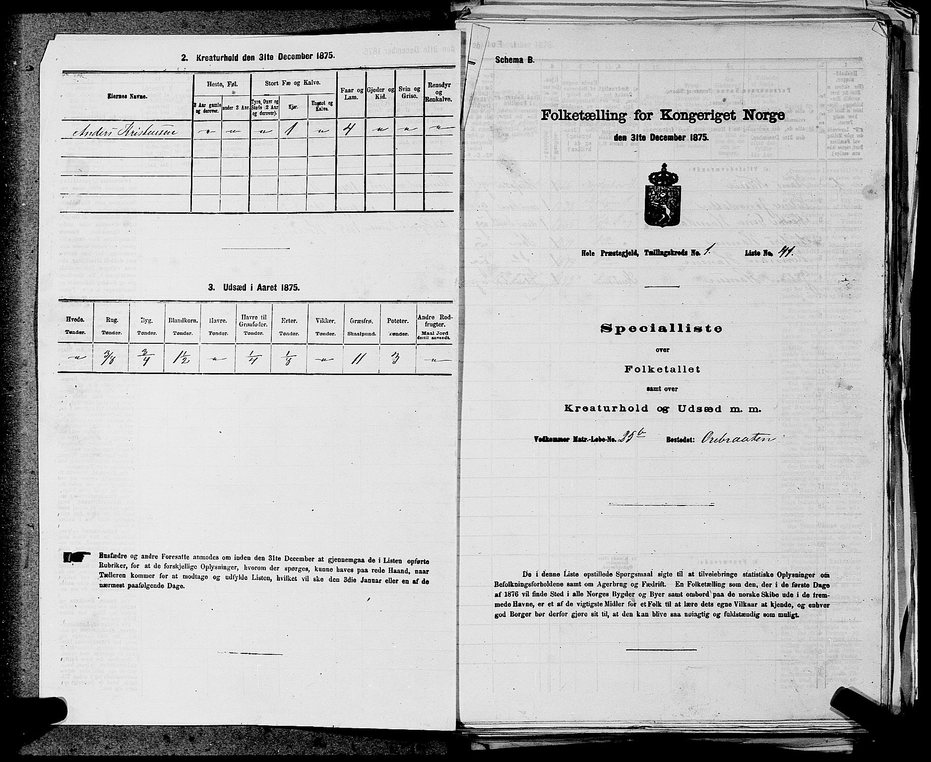 SAKO, Folketelling 1875 for 0612P Hole prestegjeld, 1875, s. 62