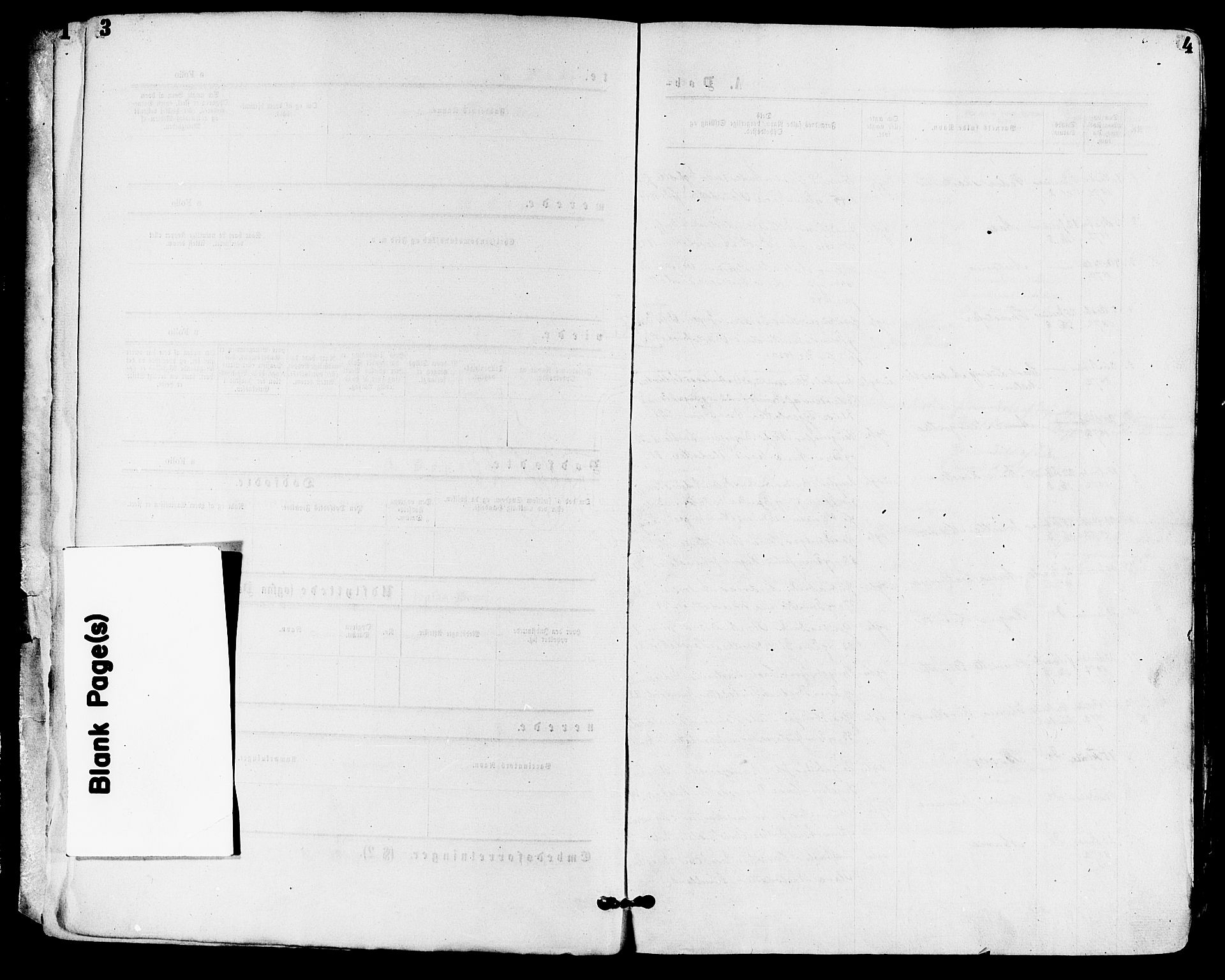 Skoger kirkebøker, SAKO/A-59/F/Fa/L0005: Ministerialbok nr. I 5, 1873-1884, s. 3-4
