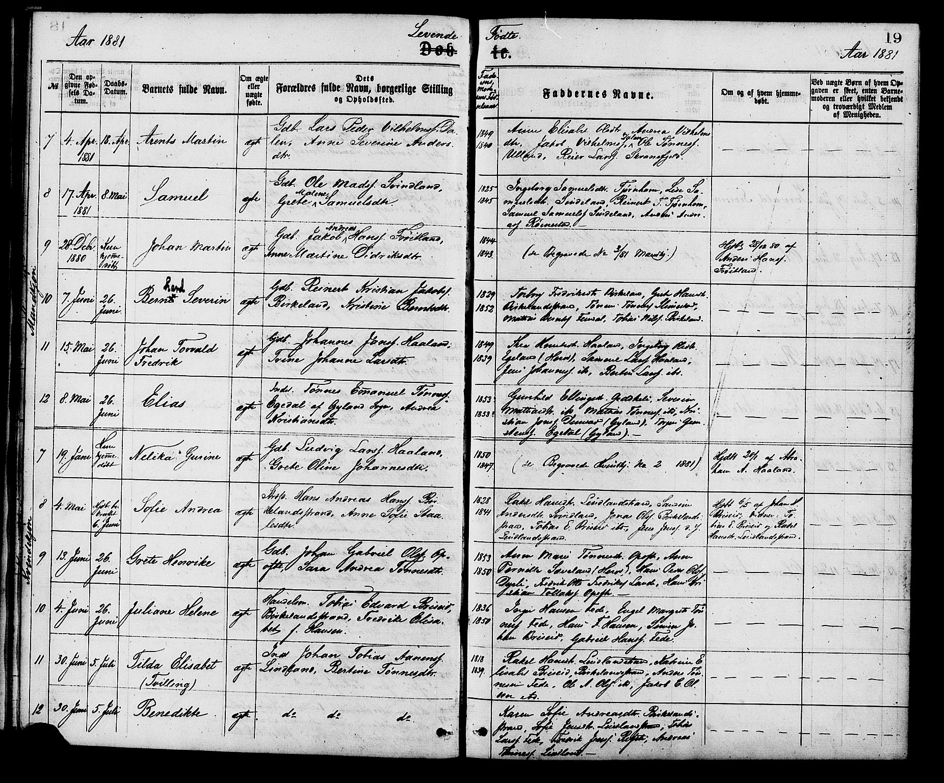 Kvinesdal sokneprestkontor, AV/SAK-1111-0026/F/Fa/Faa/L0003: Ministerialbok nr. A 3, 1877-1882, s. 19